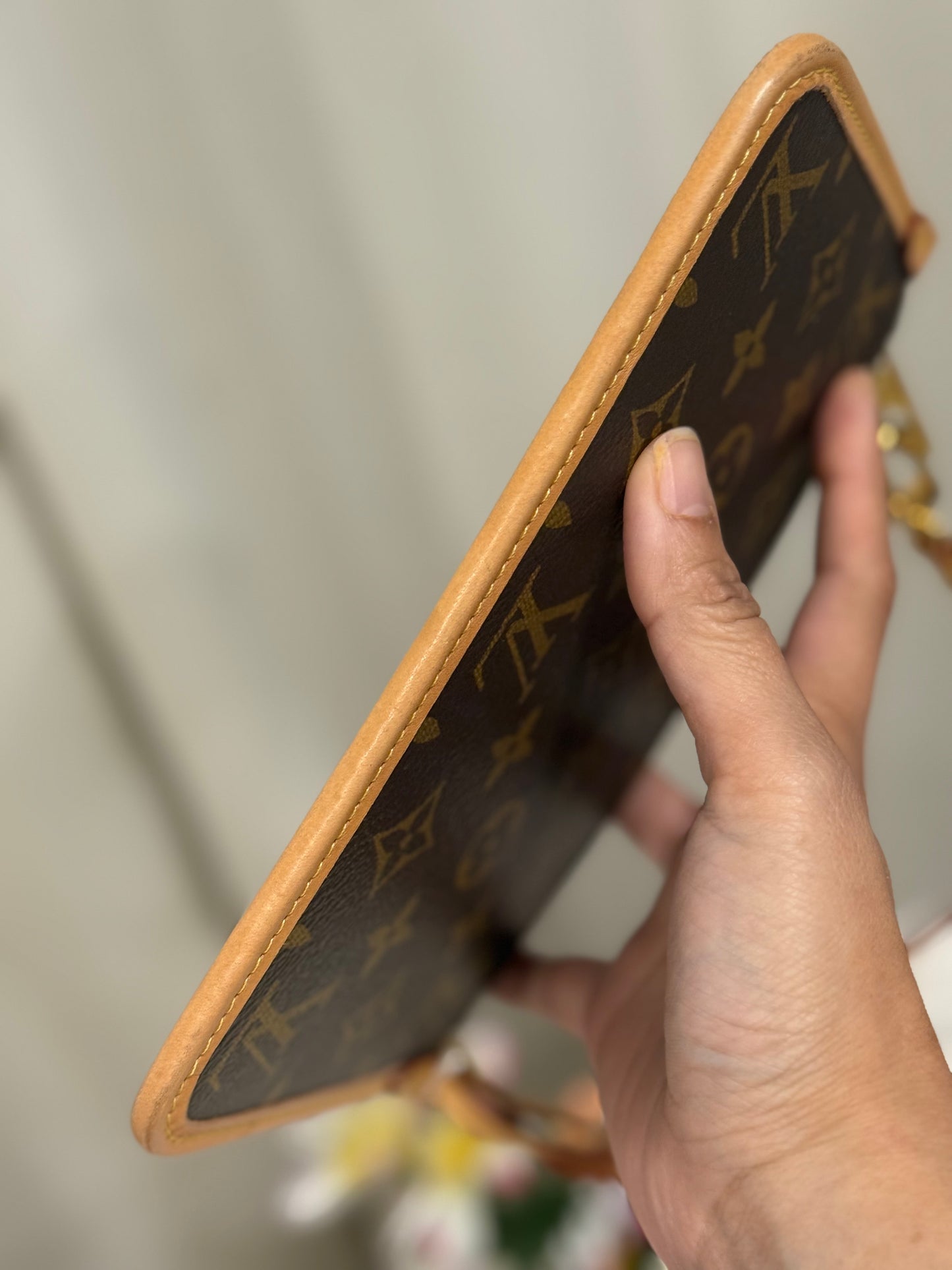 Louis Vuitton Carryall PM Pouch Mono