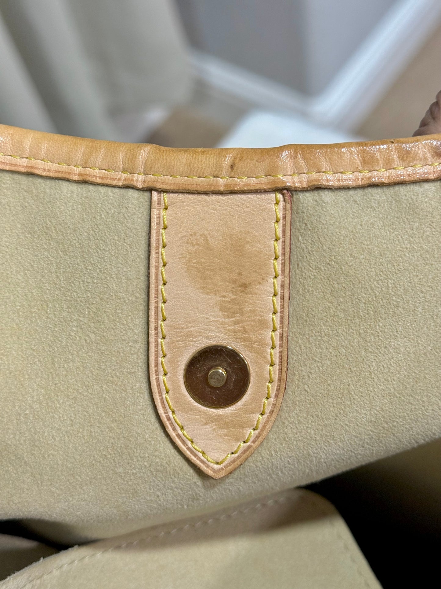 Louis Vuitton Galliera GM Mono
