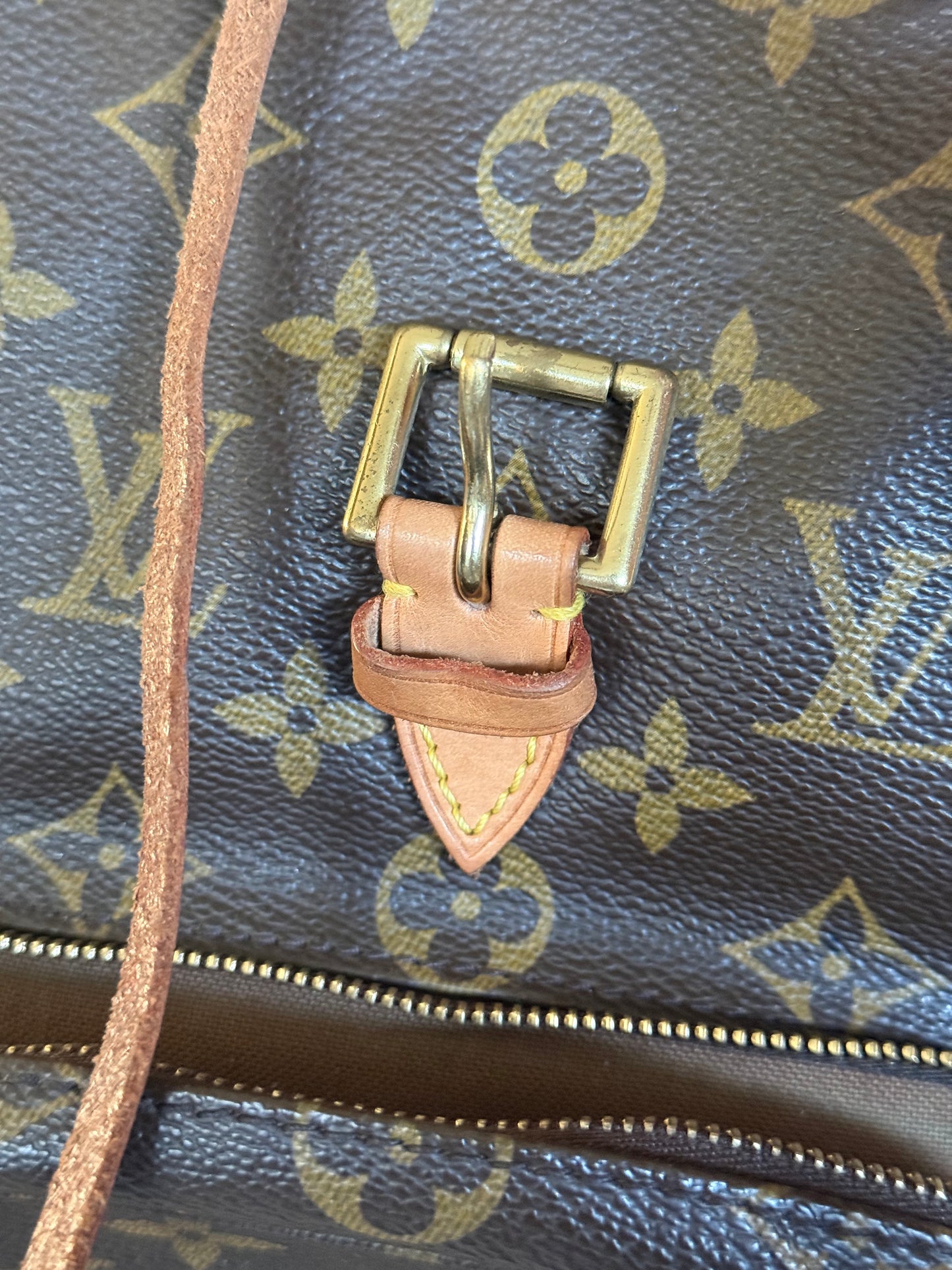 Louis Vuitton Montsouris PM Mono Old Model