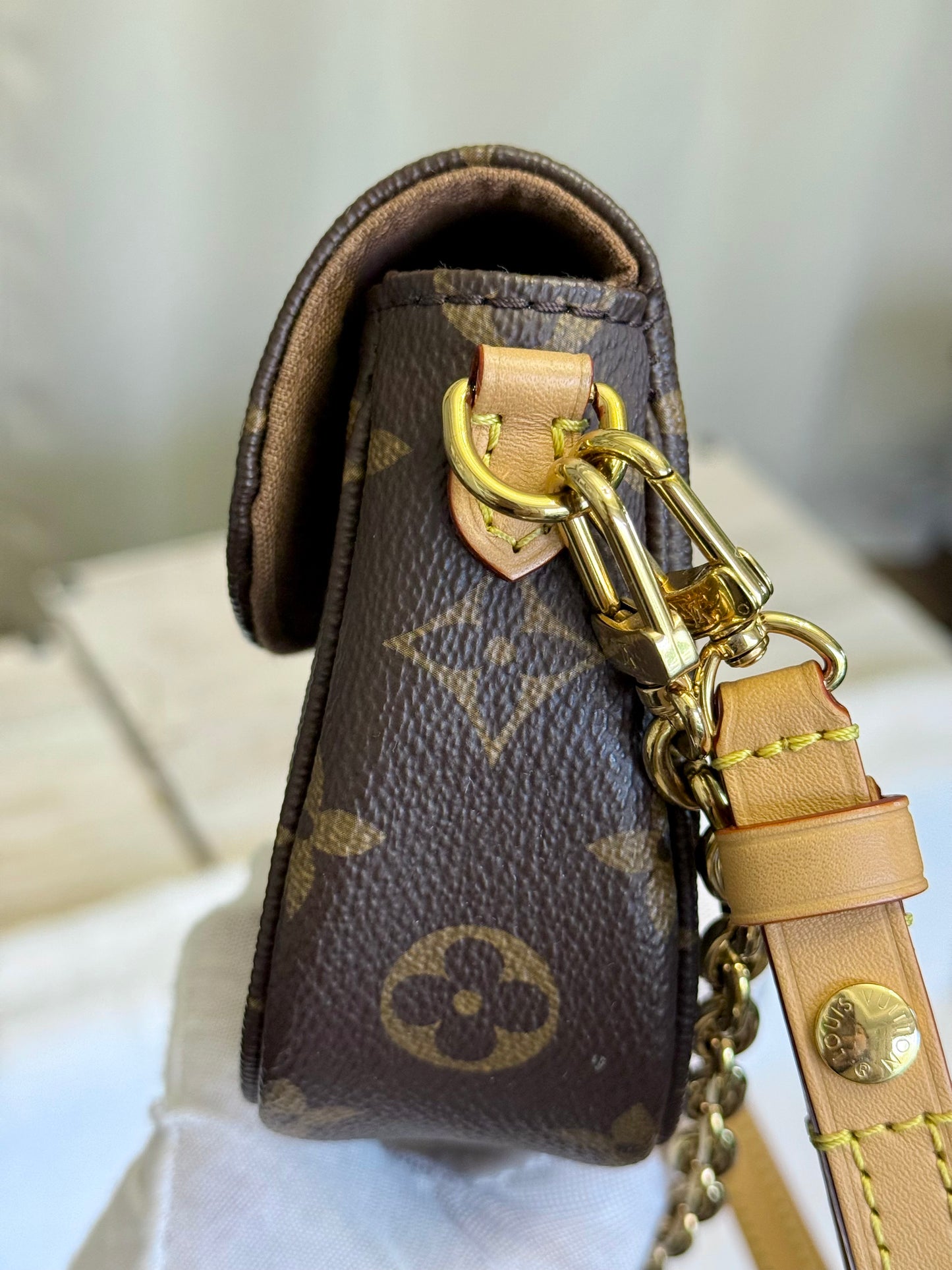 Louis Vuitton Wallet on Chain Ivy Mono