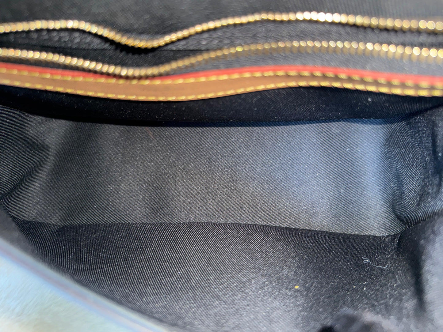Louis Vuitton Diane Mono with Shoulder Strap