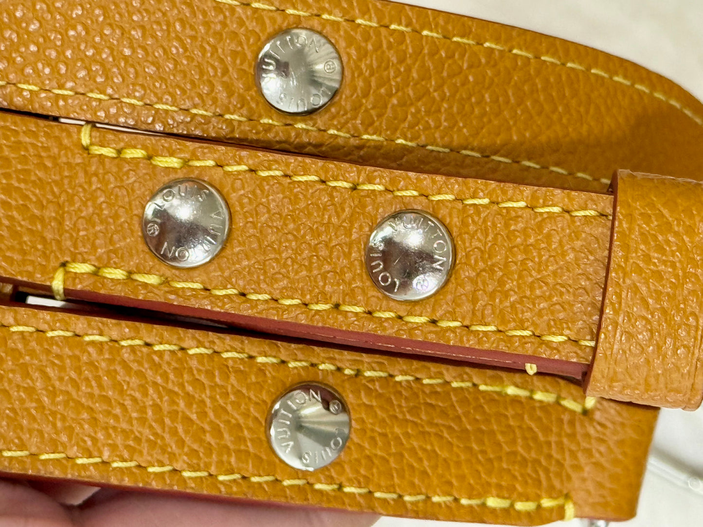 Louis Vuitton Buci in Epi Gold Honey