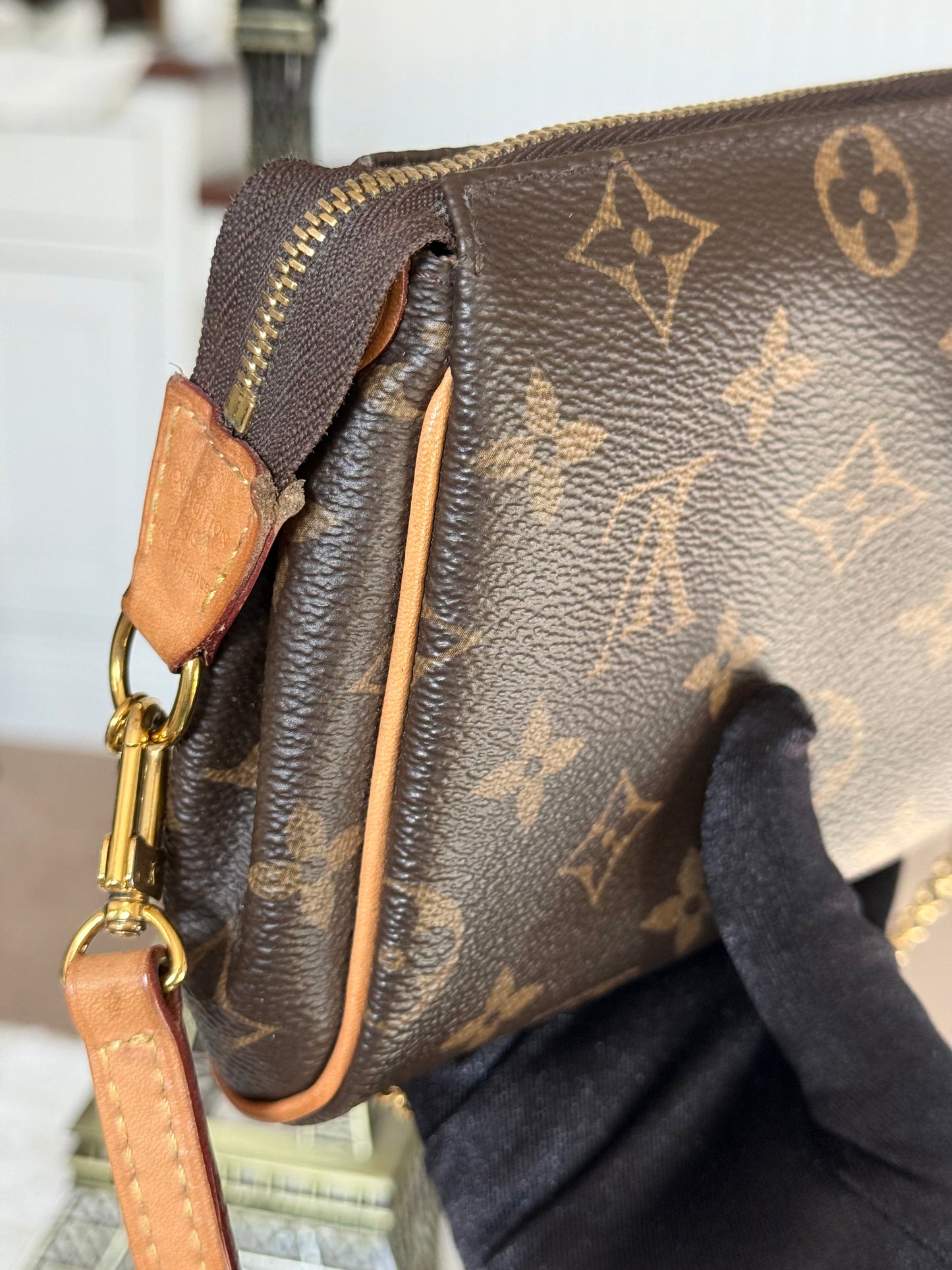 Louis Vuitton Eva Pochette Mono