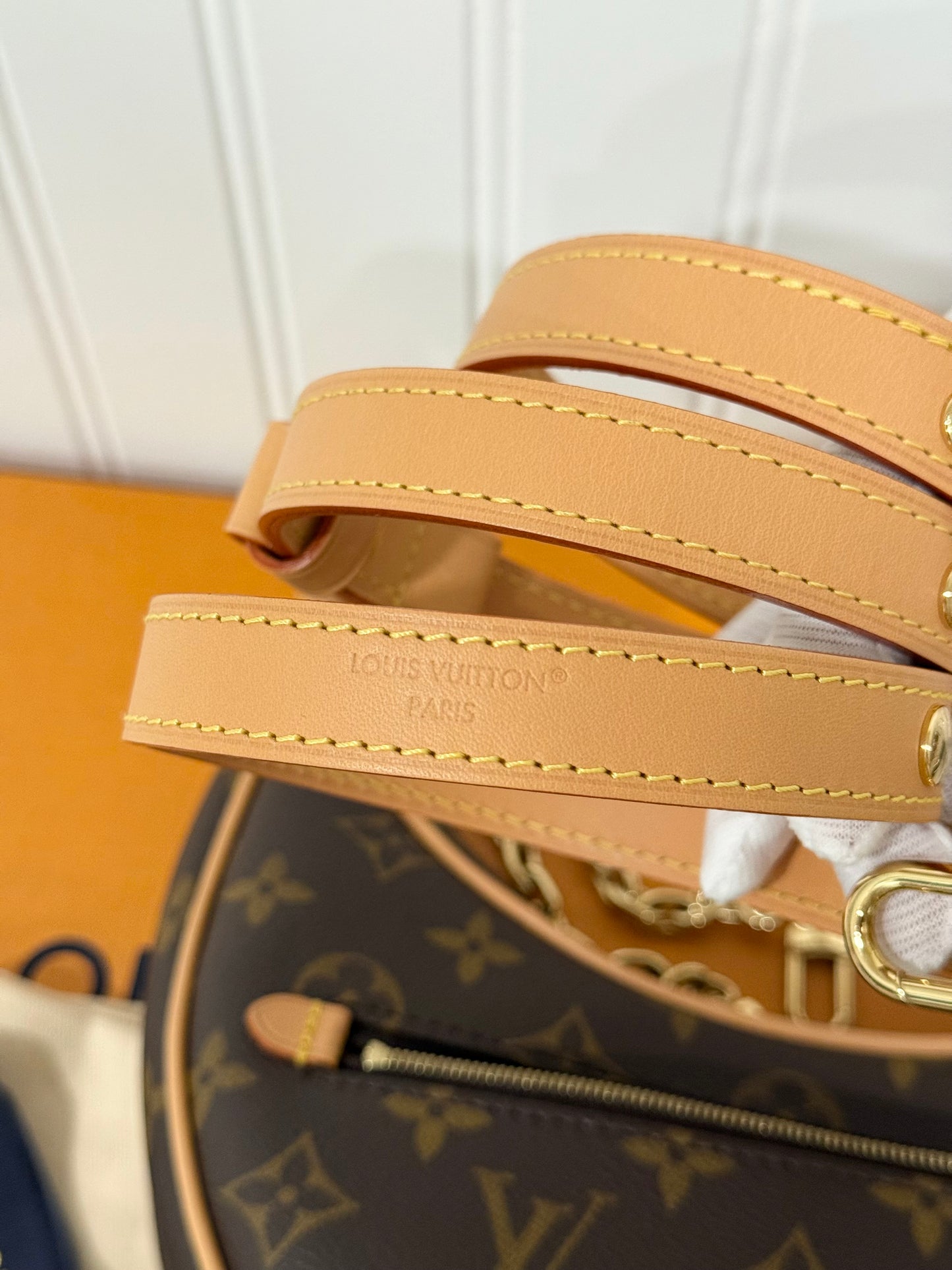 Louis Vuitton Loop PM Mono