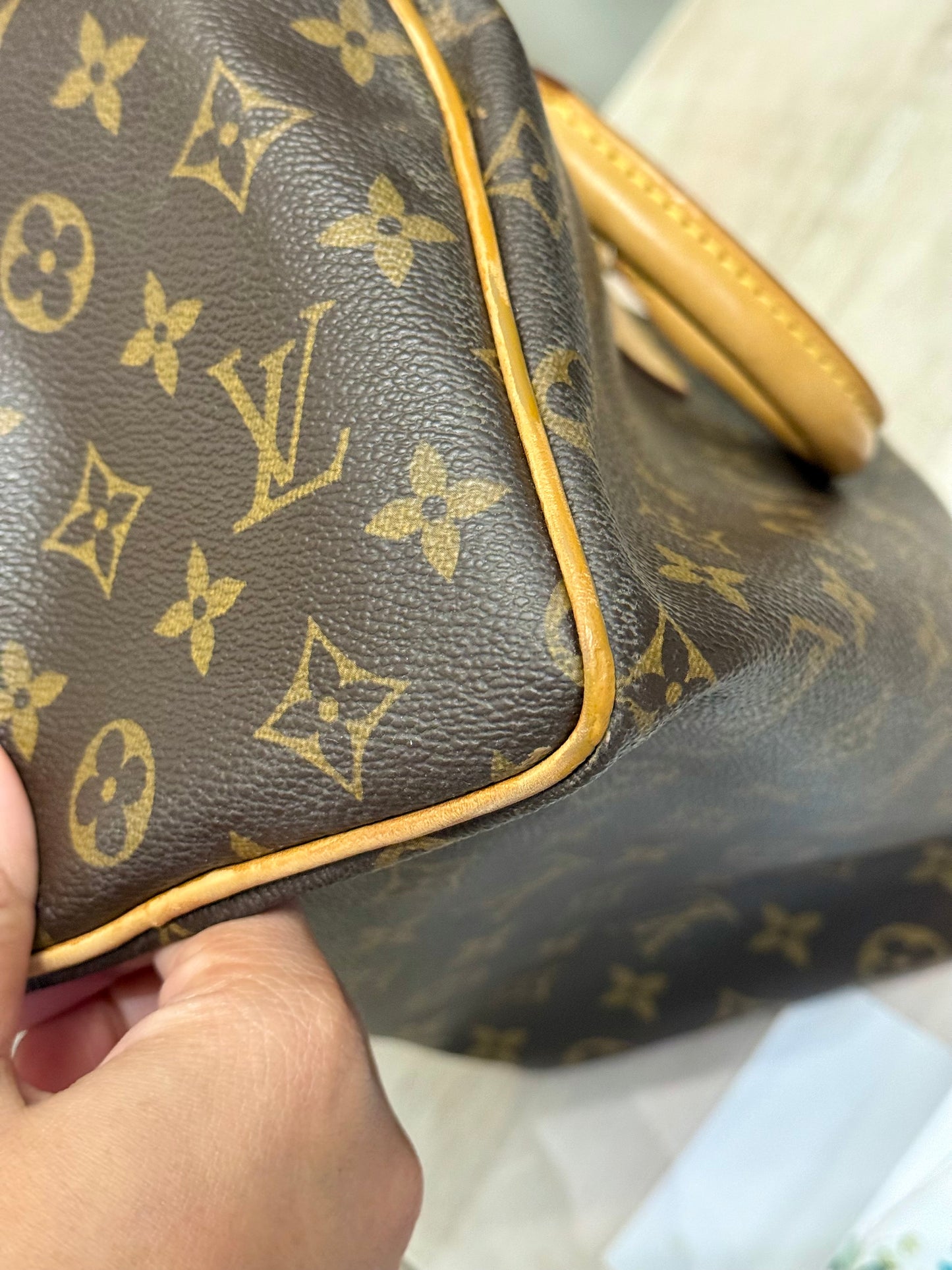 Louis Vuitton Speedy 25 Mono