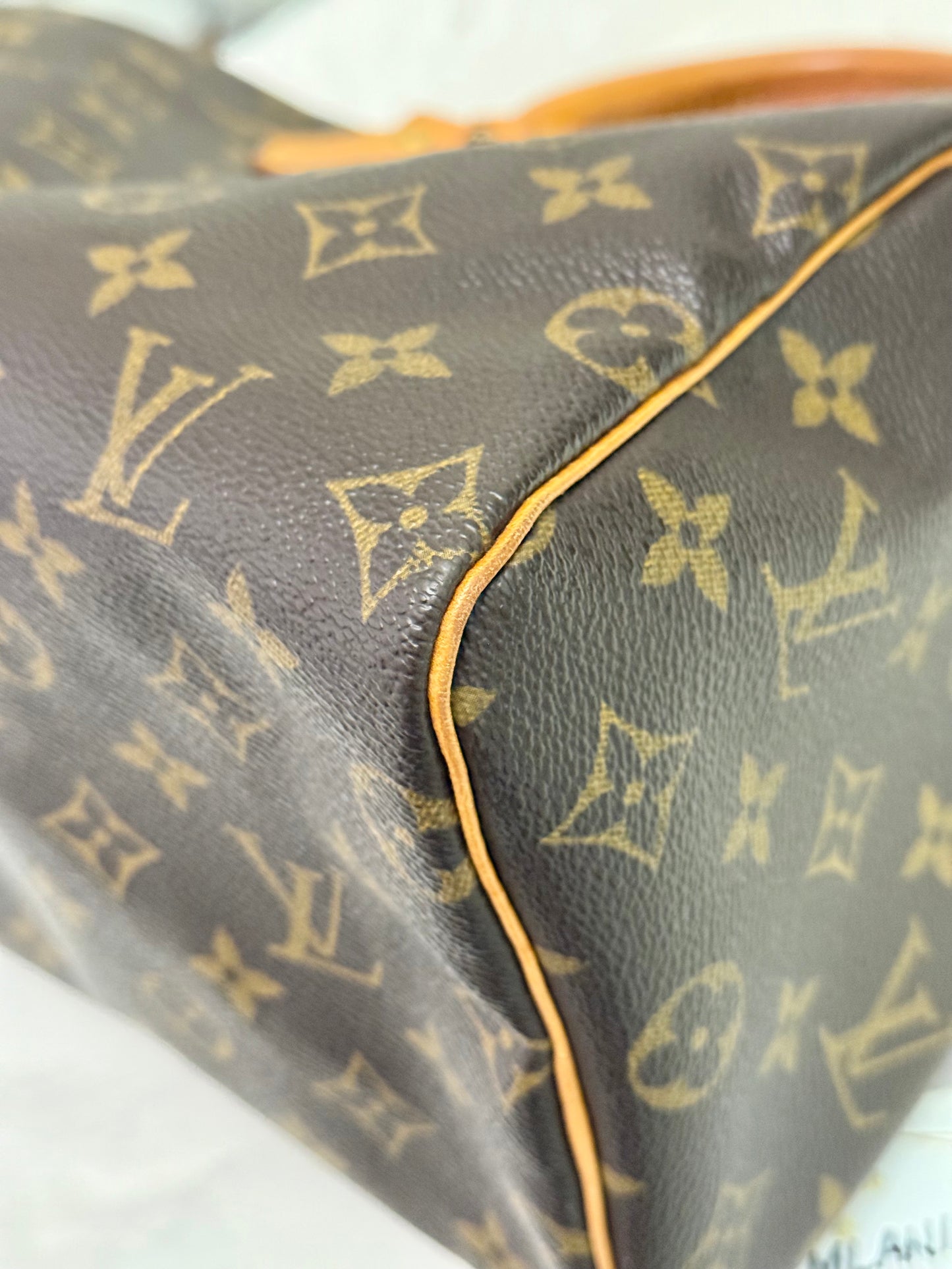 Louis Vuitton Speedy 25 Mono