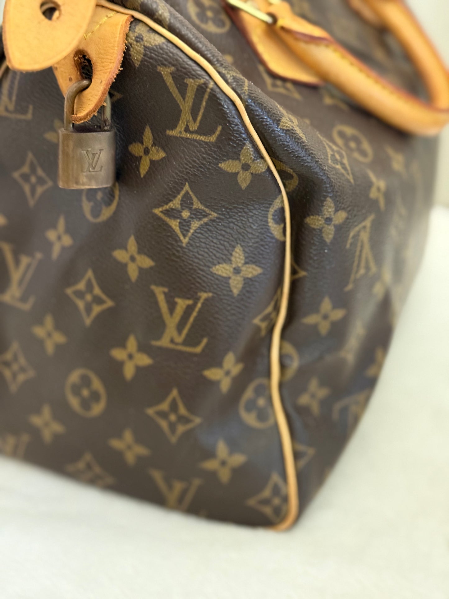 Louis Vuitton Speedy 30 Mono