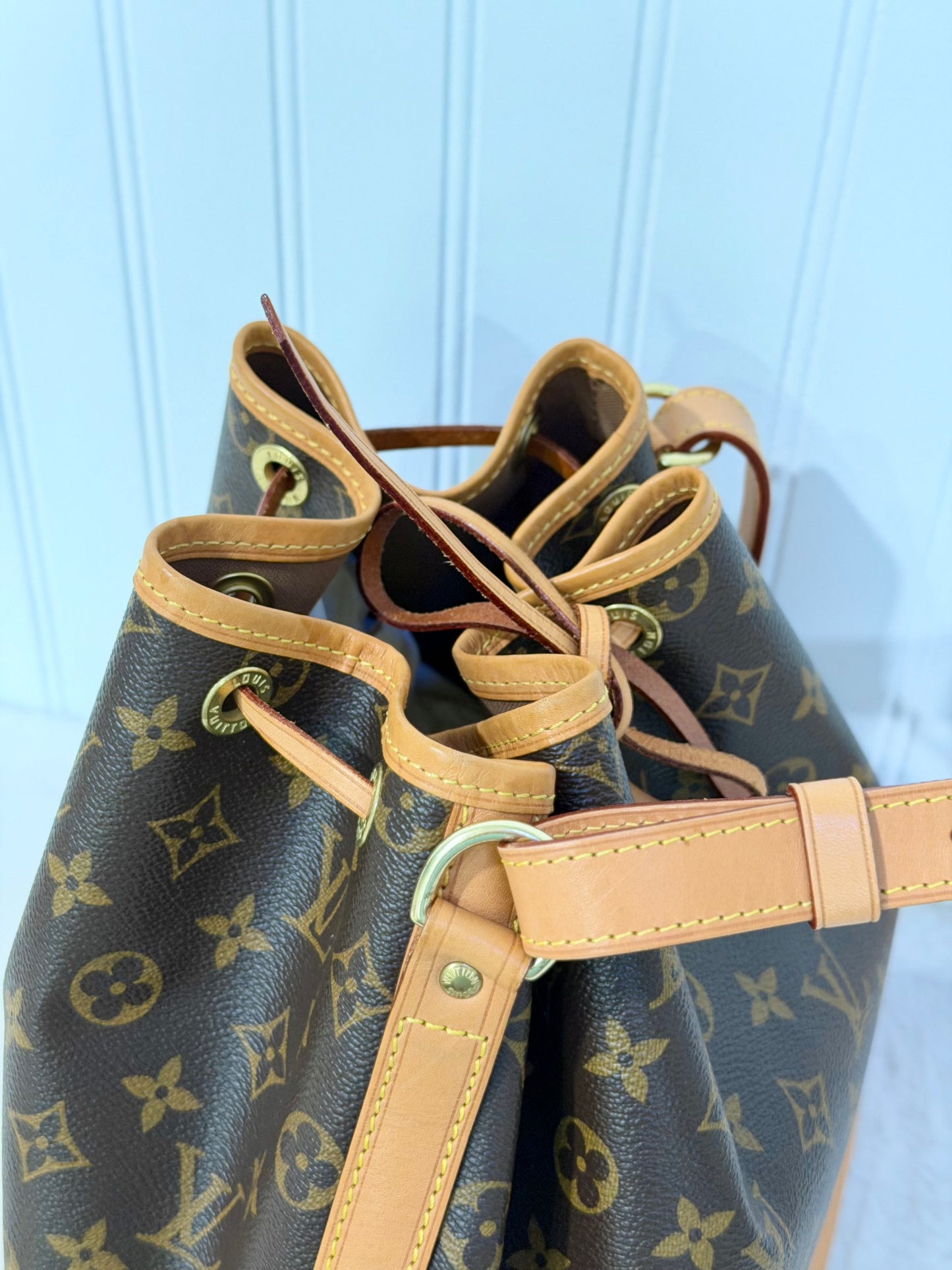 Louis Vuitton Petit Noe NM Mono