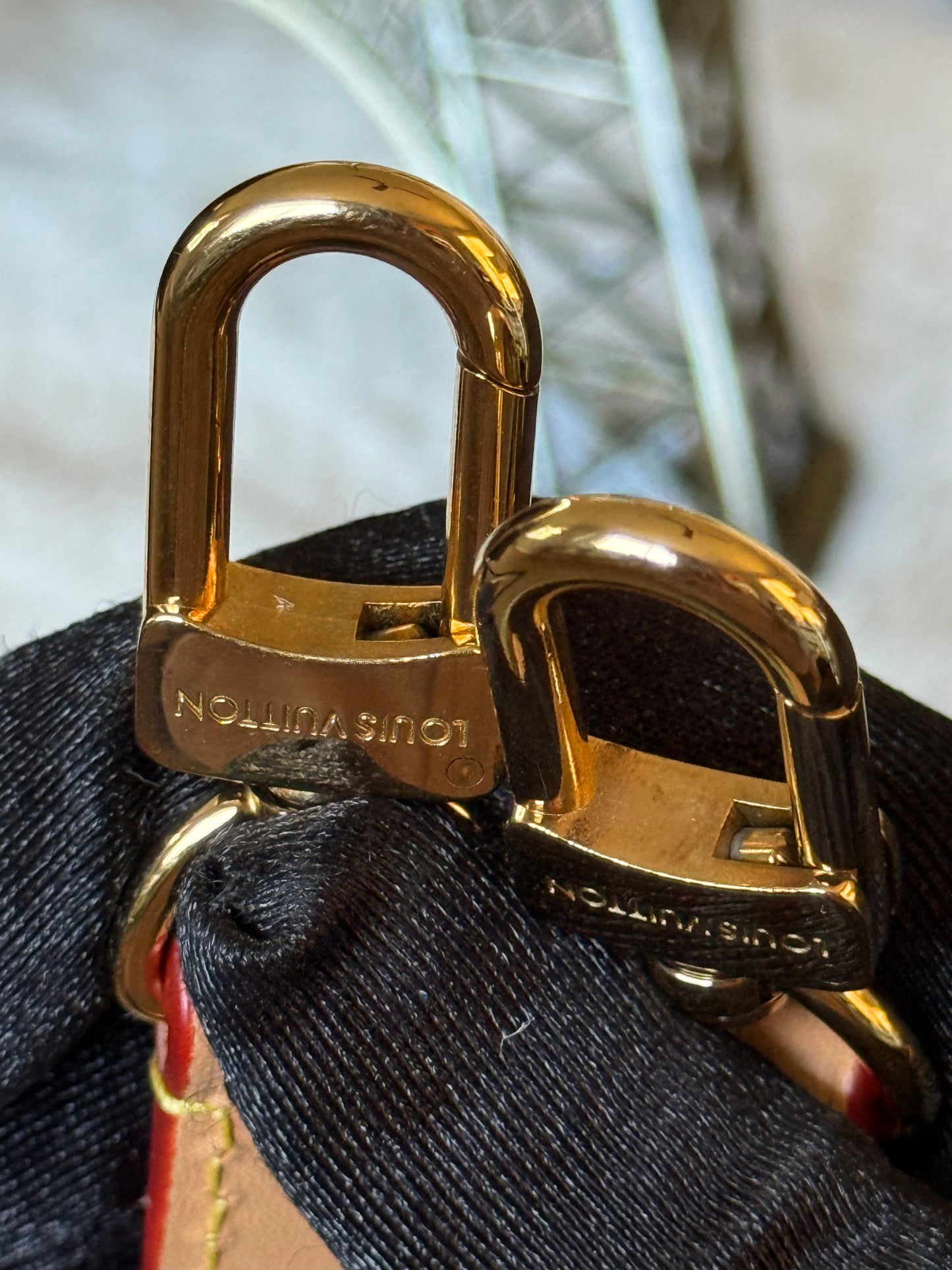 Louis Vuitton Diane Mono with Shoulder Strap