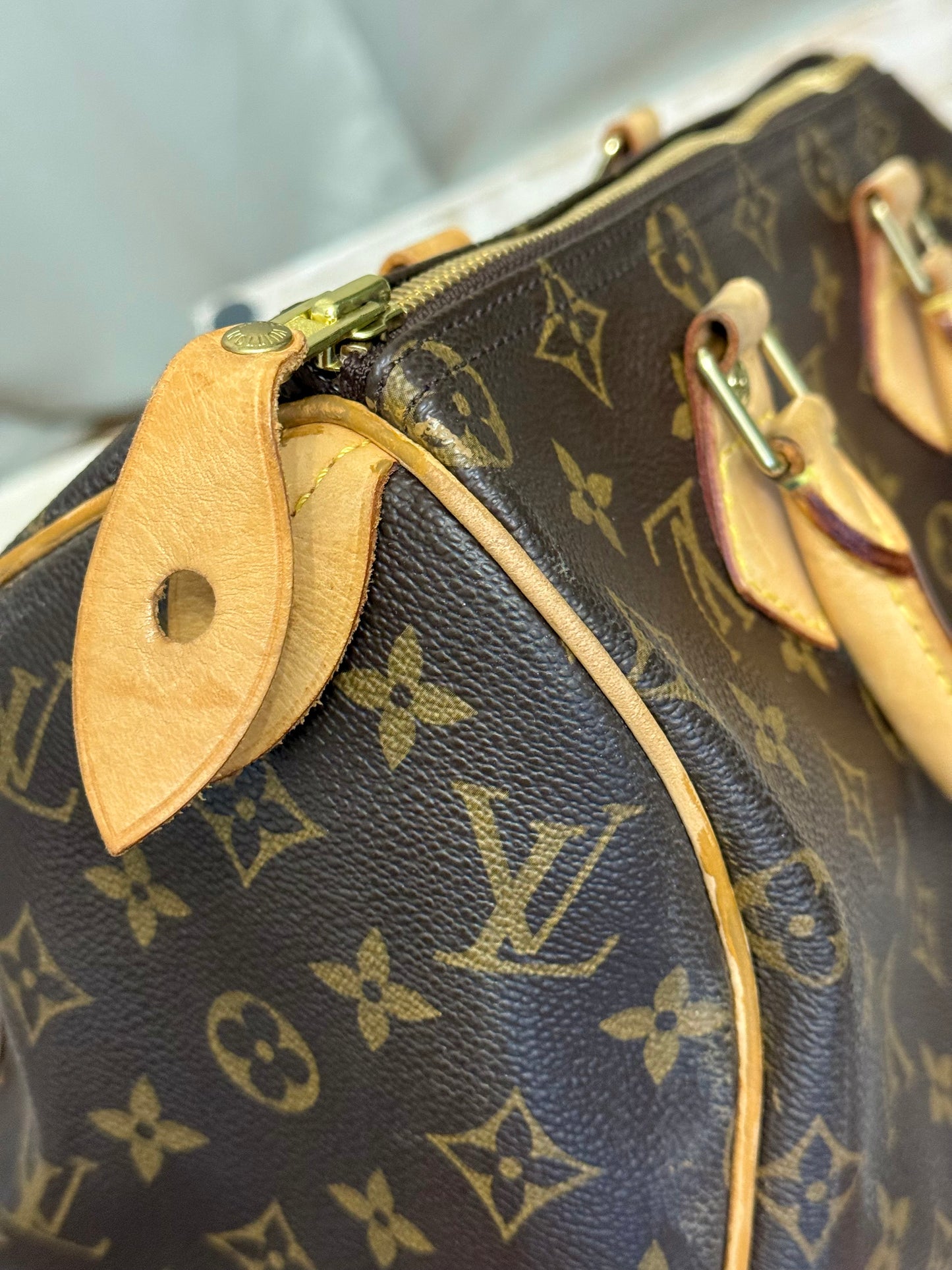 Louis Vuitton Speedy 25 Mono