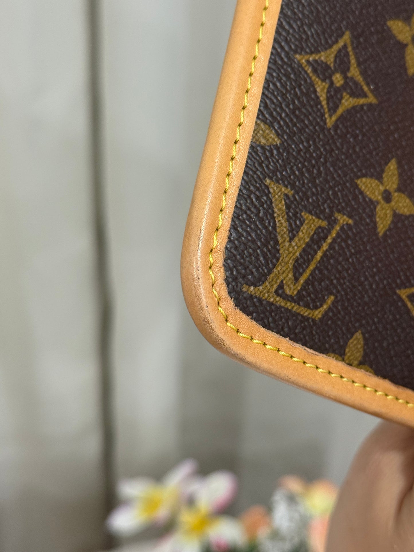 Louis Vuitton Carryall PM Pouch Mono