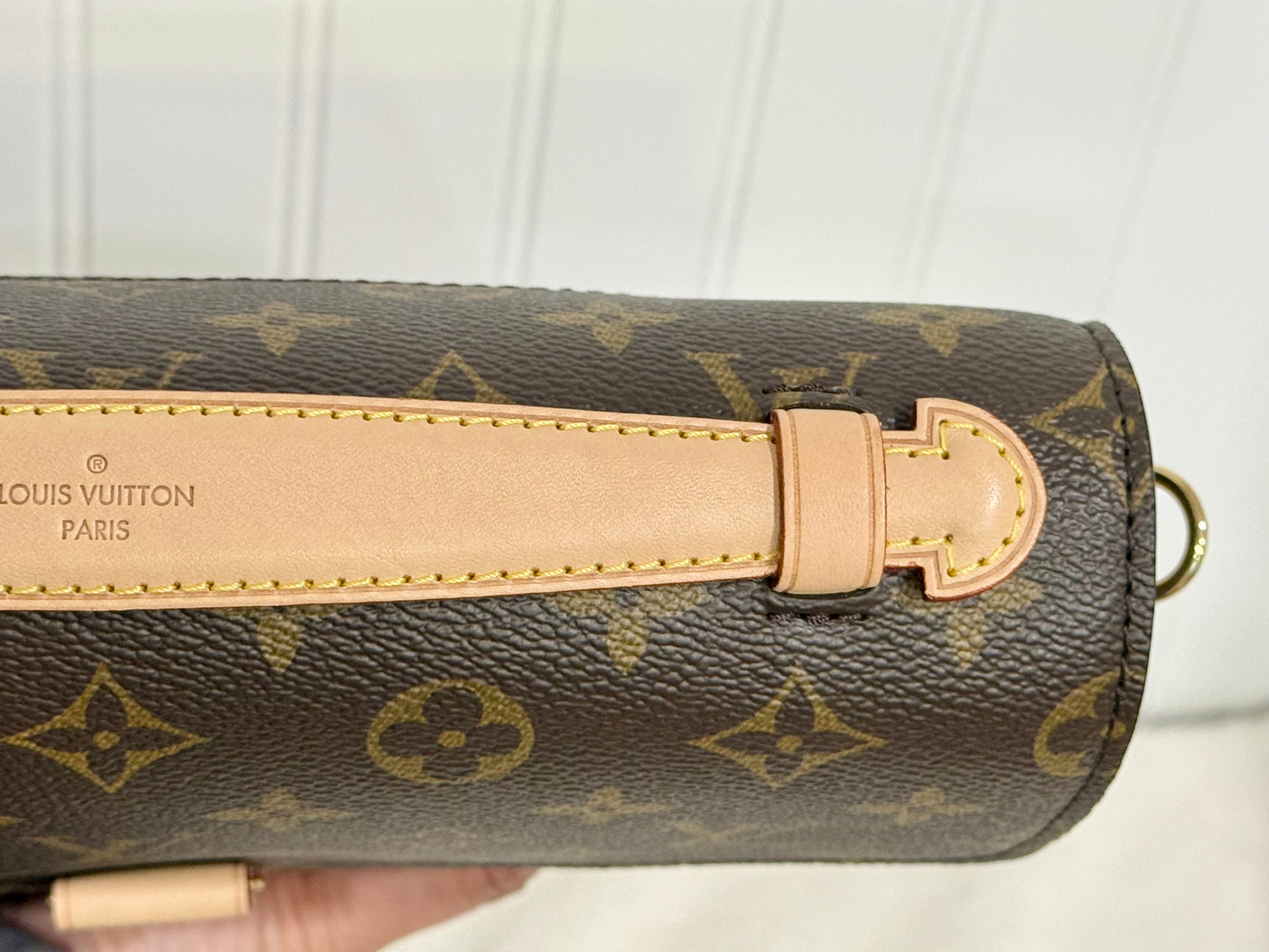 Louis Vuitton Pochette Metis Mono