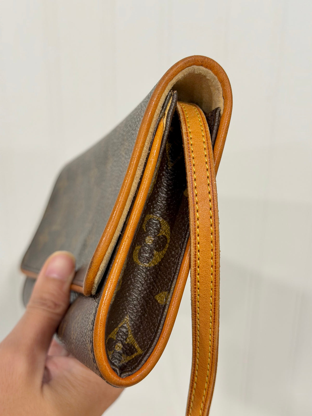 Louis Vuitton Twin Pochette GM Mono