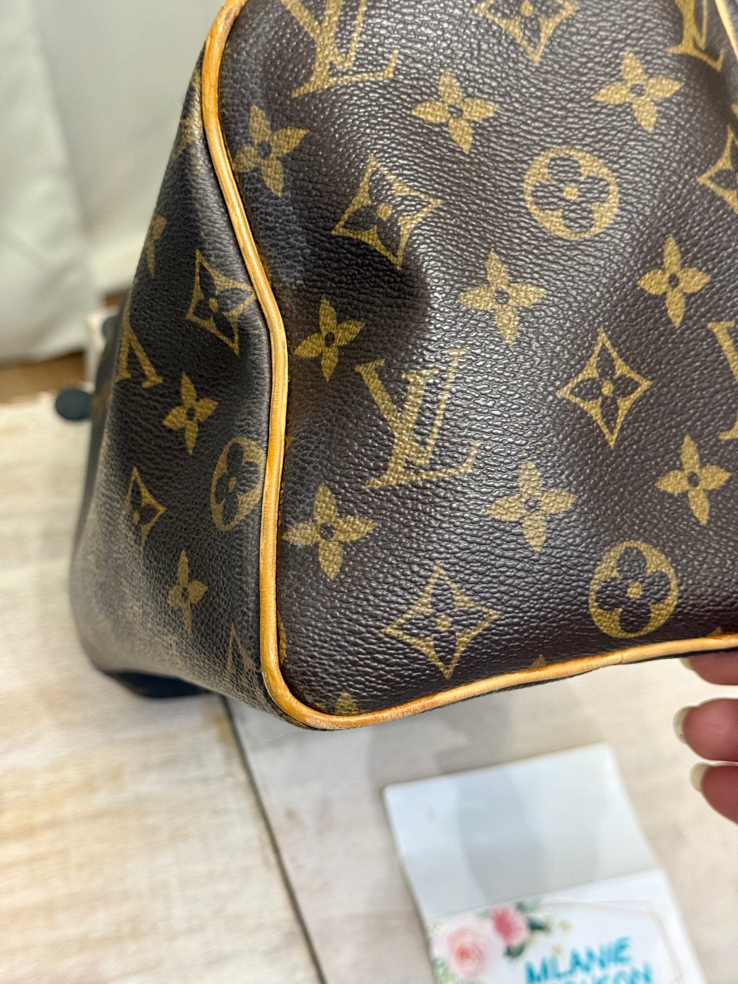 Louis Vuitton Speedy 25 Mono