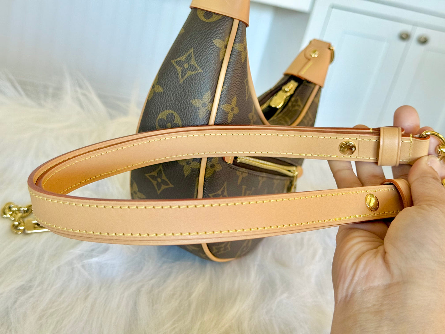 Louis Vuitton Loop PM Mono