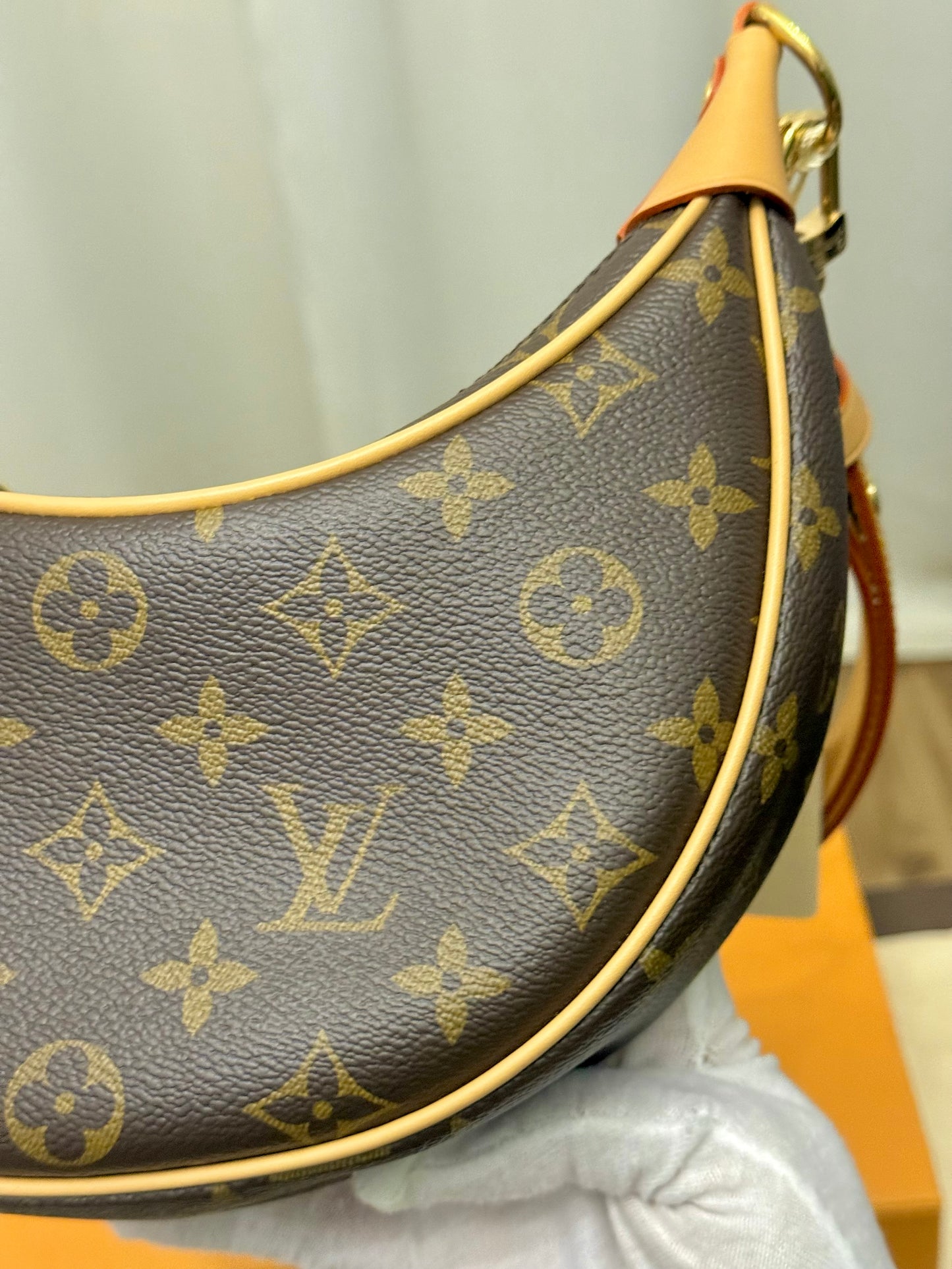 Louis Vuitton Loop PM Mono