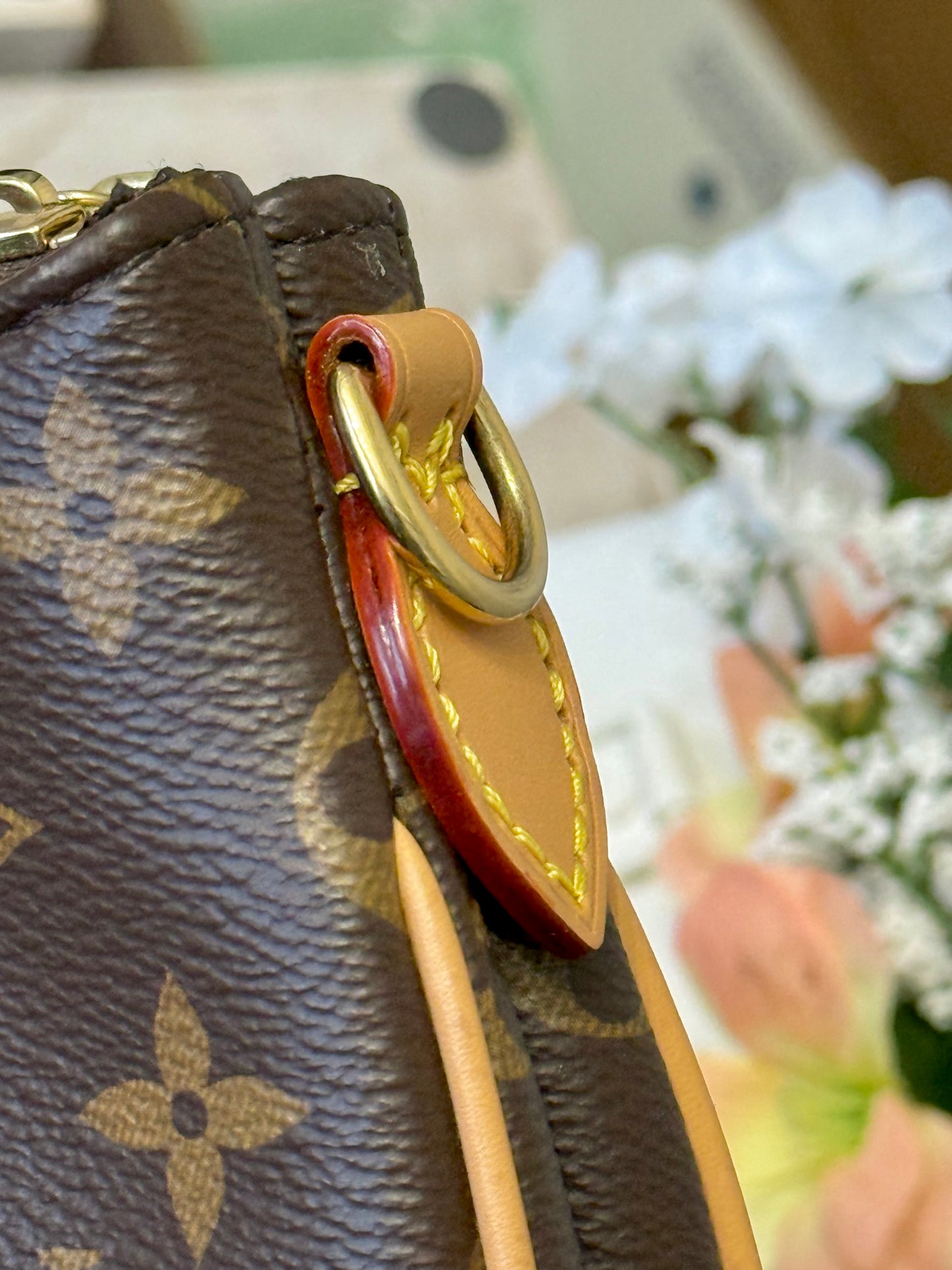 Louis Vuitton Pochette Liv Mono
