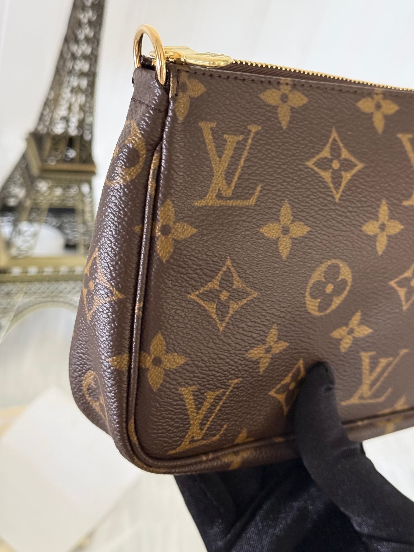 Louis Vuitton Pochette Accessoires Old Model Mono