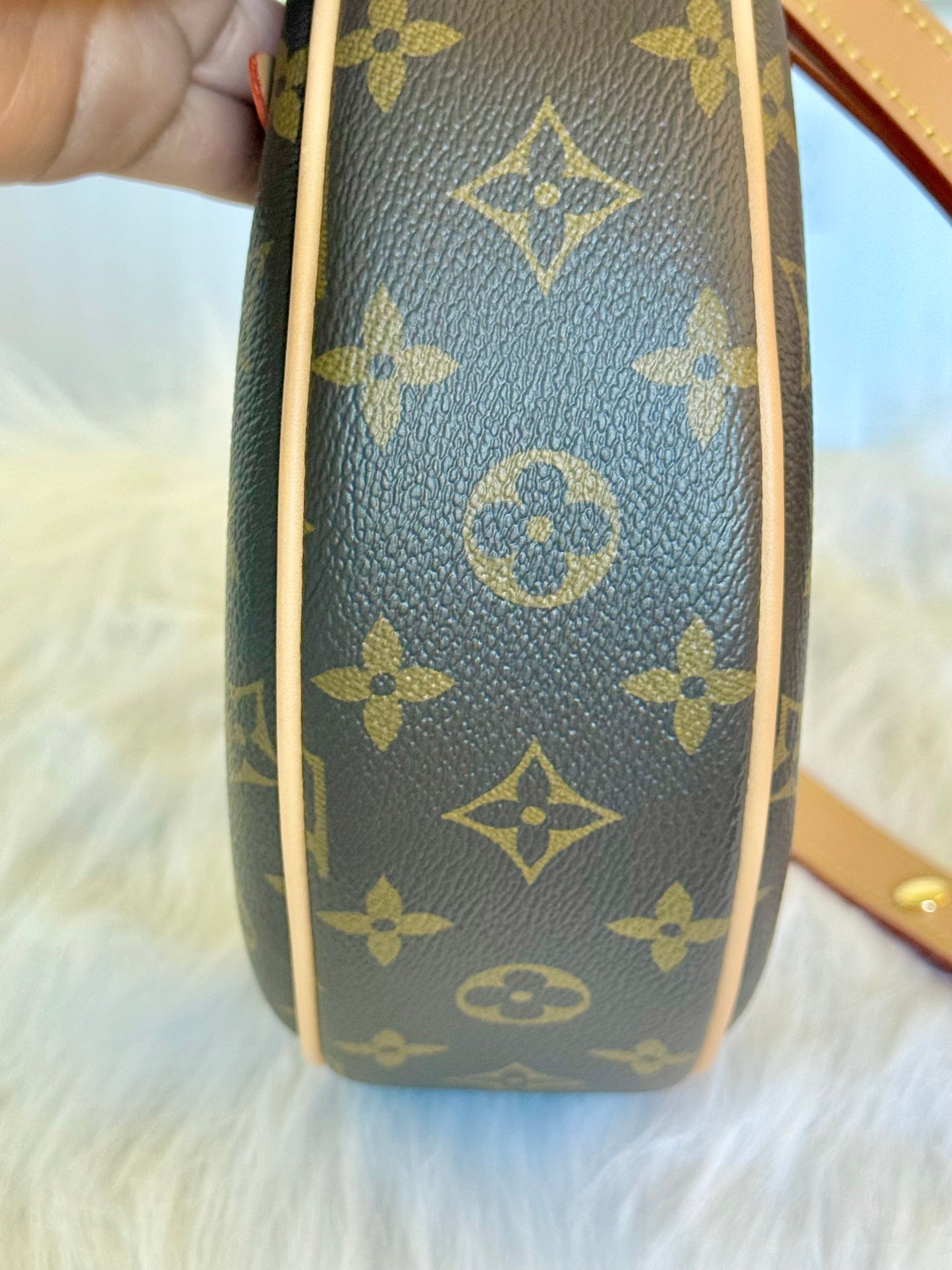 Louis Vuitton Loop PM Mono