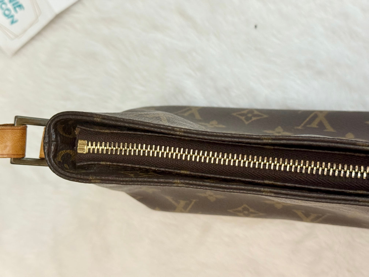 Louis Vuitton Trotteur Mono