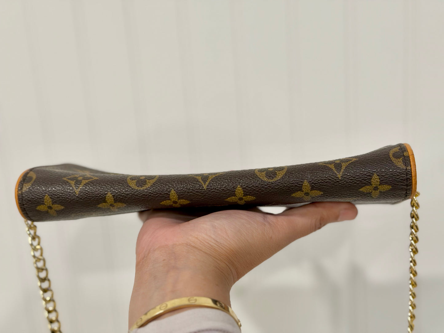Louis Vuitton Twin Pochette GM Mono