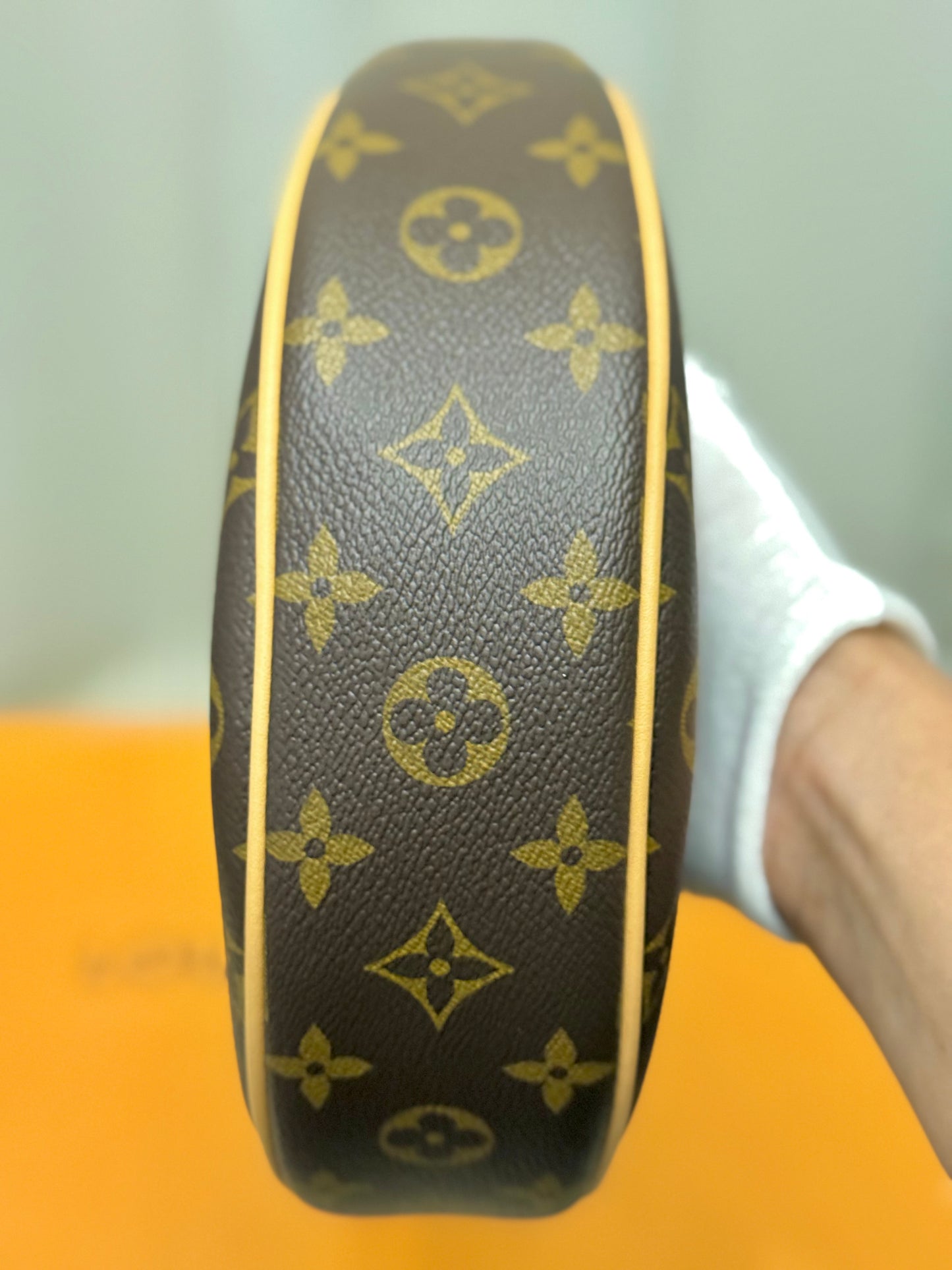 Louis Vuitton Loop PM Mono