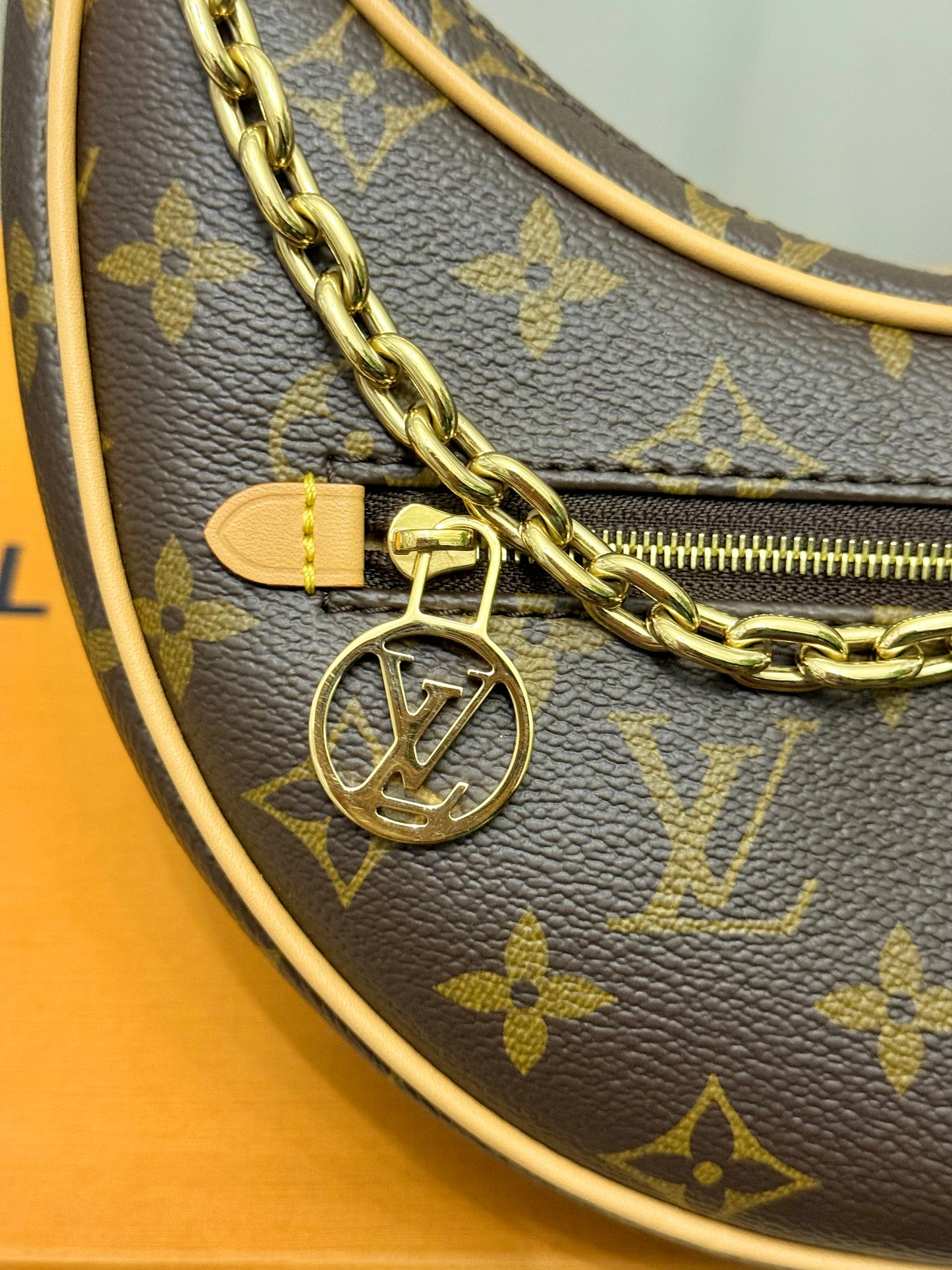 Louis Vuitton Loop PM Mono