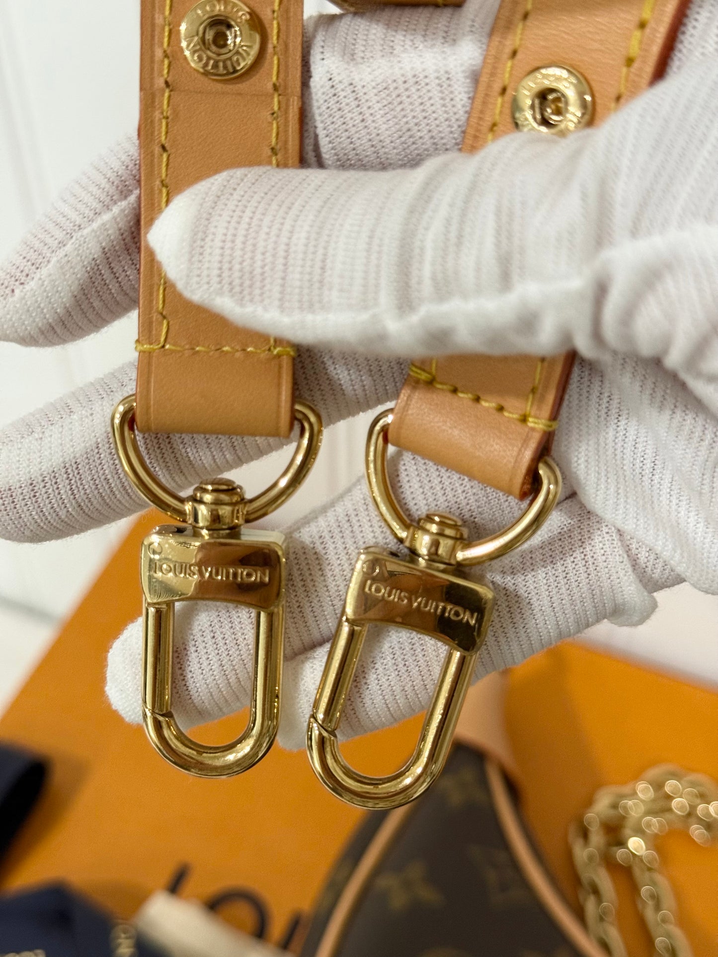 Louis Vuitton Loop PM Mono