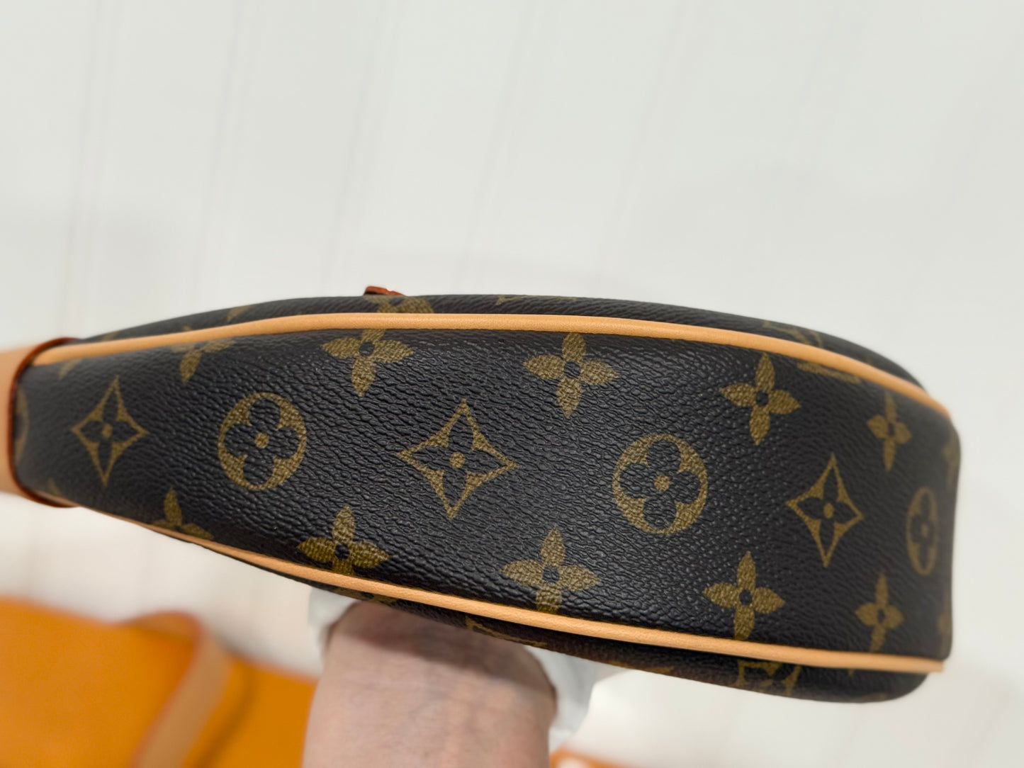 Louis Vuitton Loop PM Mono