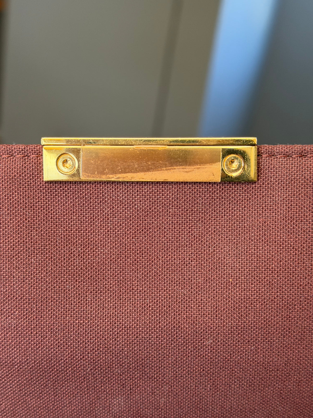 Louis Vuitton Favorite MM Mono SA1107