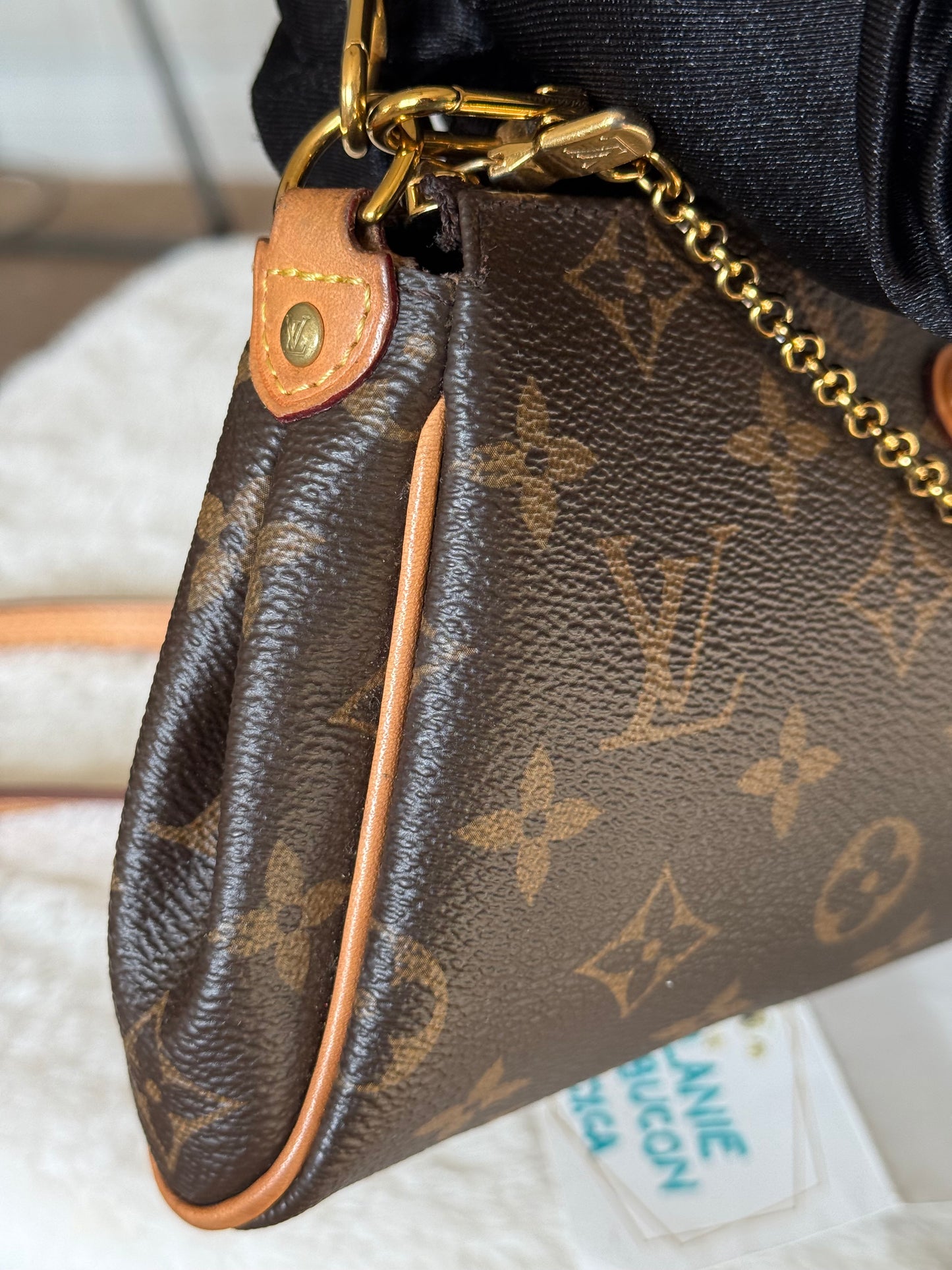 Louis Vuitton Eva Pochette Mono