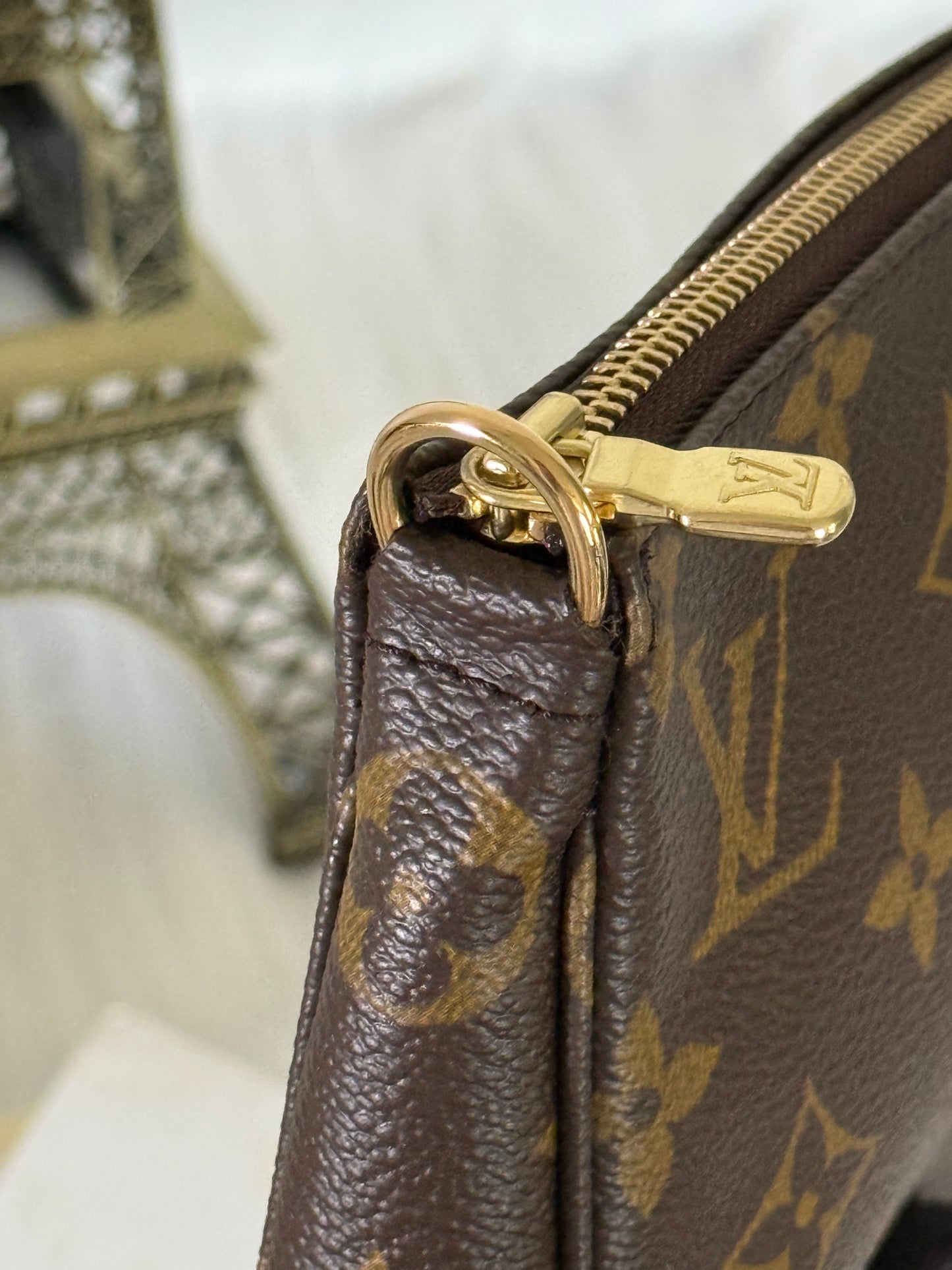 Louis Vuitton Pochette Accessoires Old Model Mono