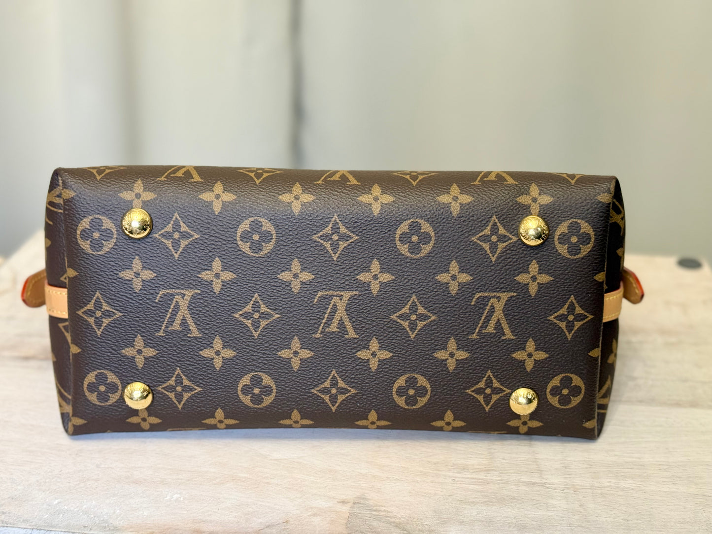 Louis Vuitton Carryall PM Mono (Bag Only)