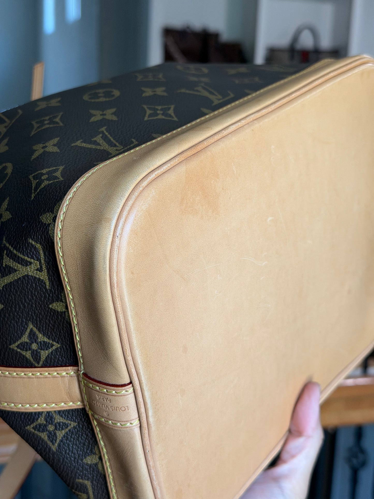 Louis Vuitton Petit Noe NM Mono
