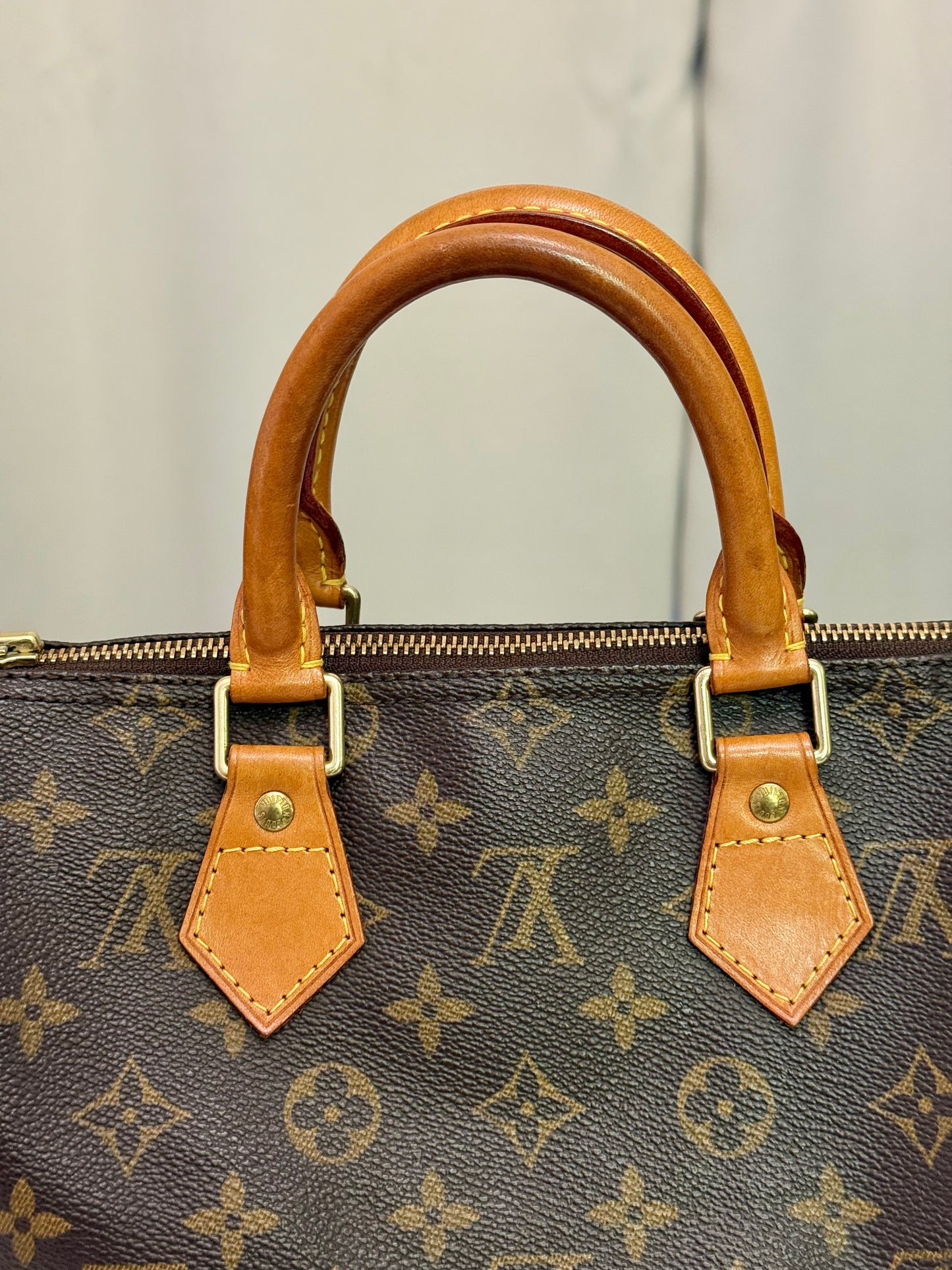 Louis Vuitton Speedy 25 Mono