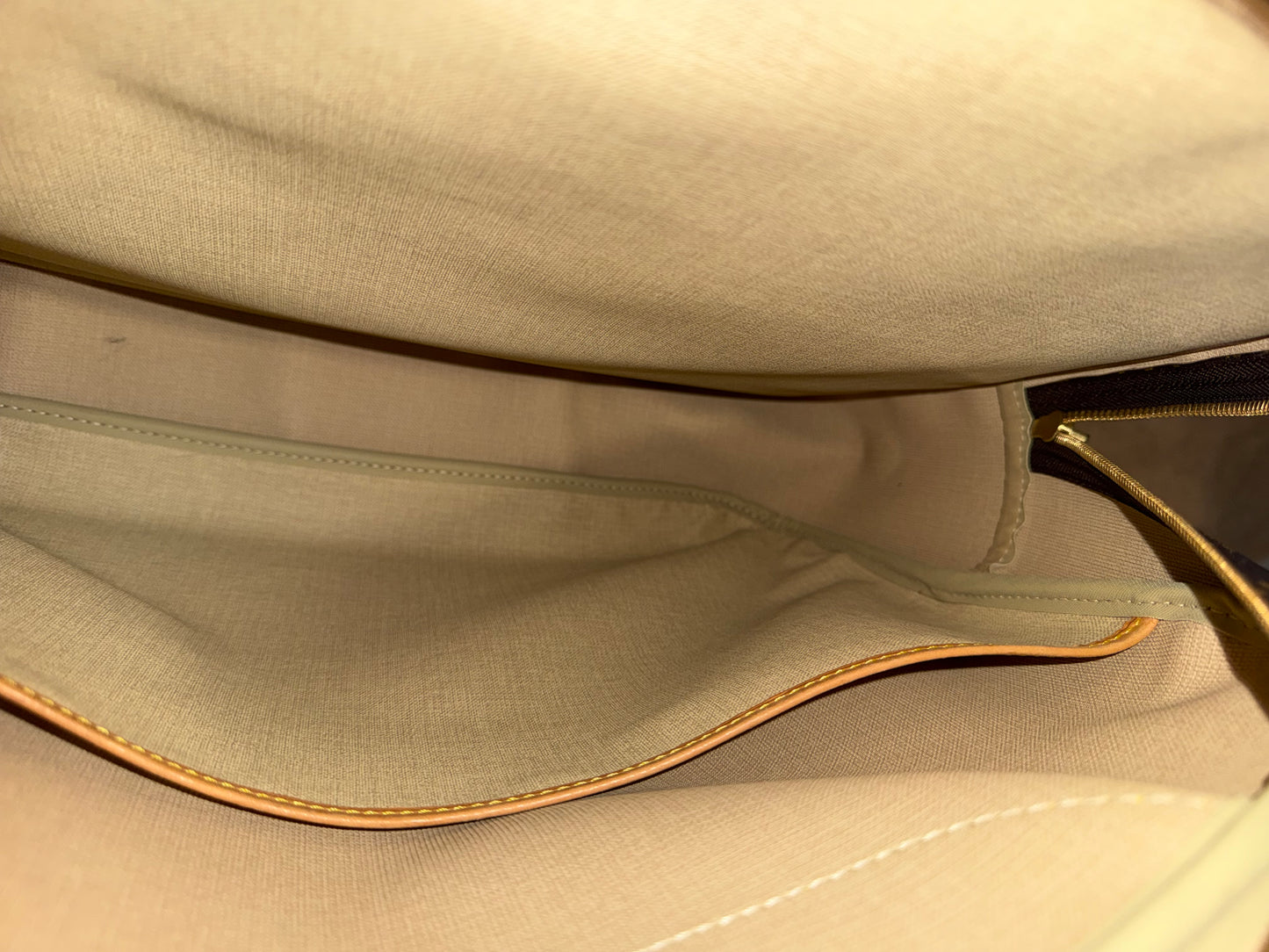 Louis Vuitton Alize 24 Mono soft Suitcase