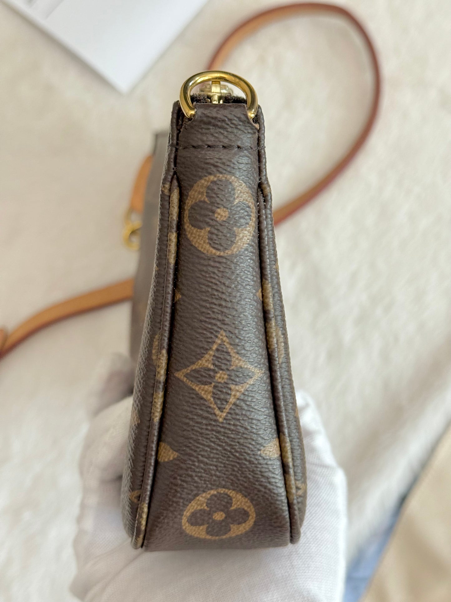 Louis Vuitton Pochette Accessoires New Model Mono