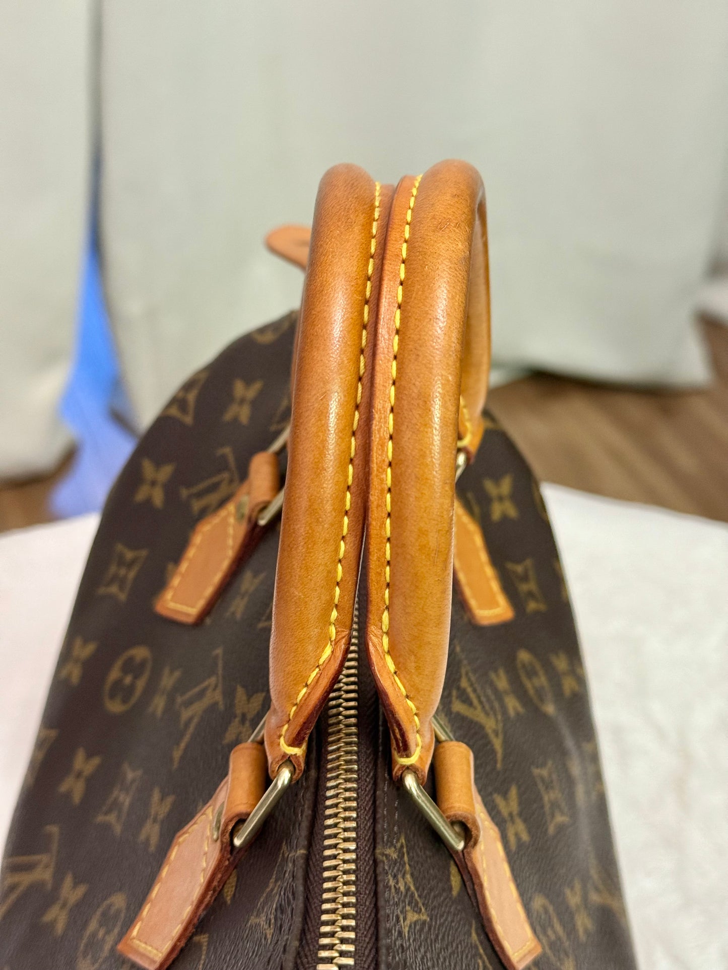 Louis Vuitton Speedy 25 Mono