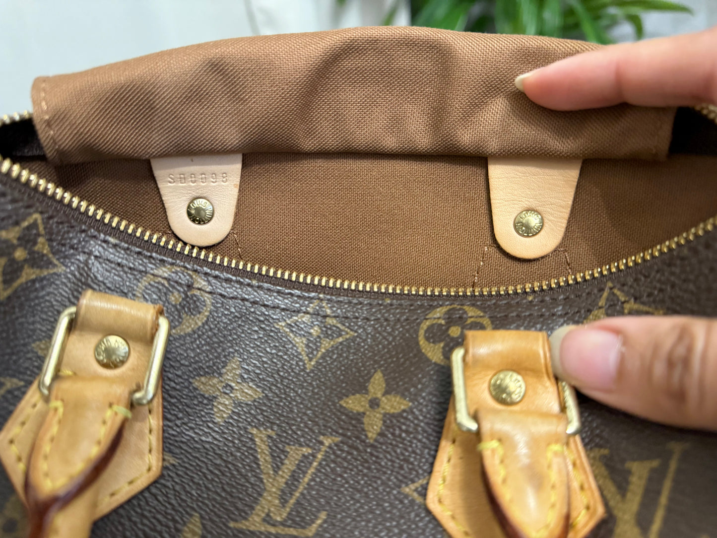 Louis Vuitton Speedy 25 Mono