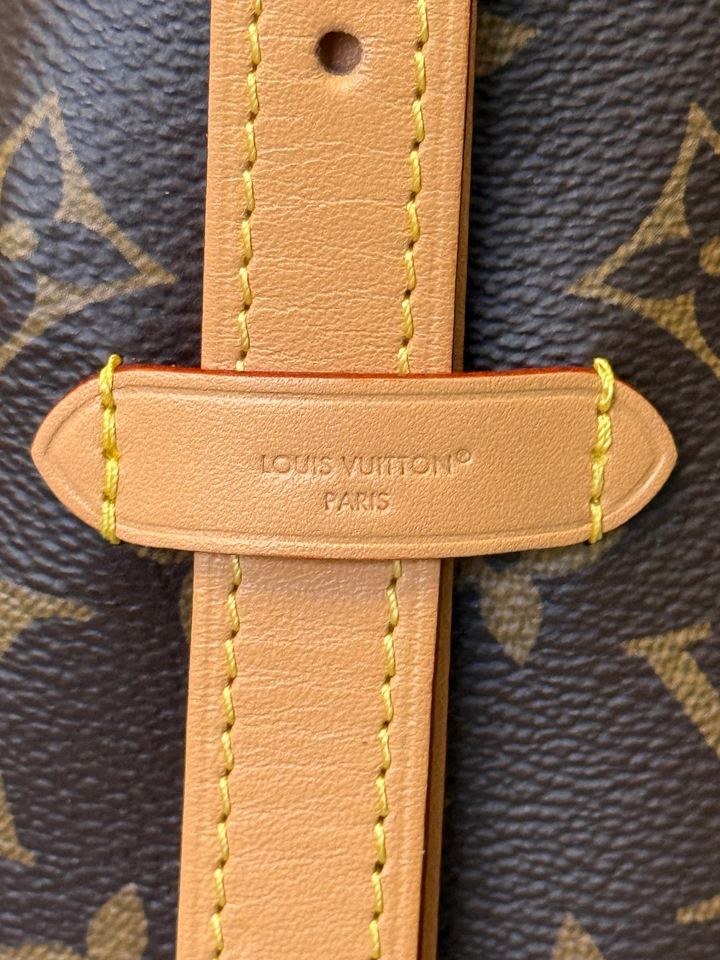 Louis Vuitton Carryall PM Mono (Bag Only)