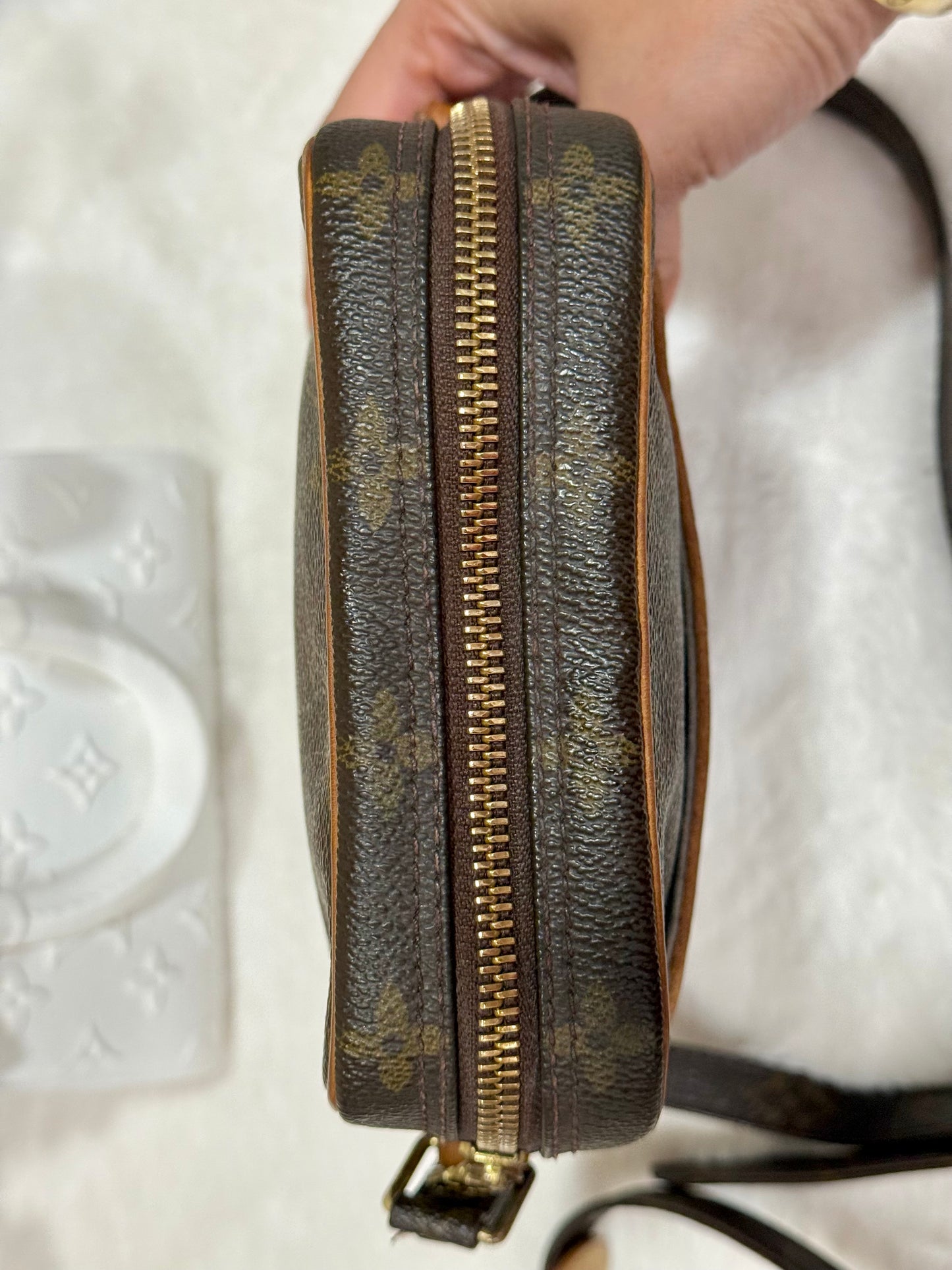 Louis Vuitton Danube PM Mono