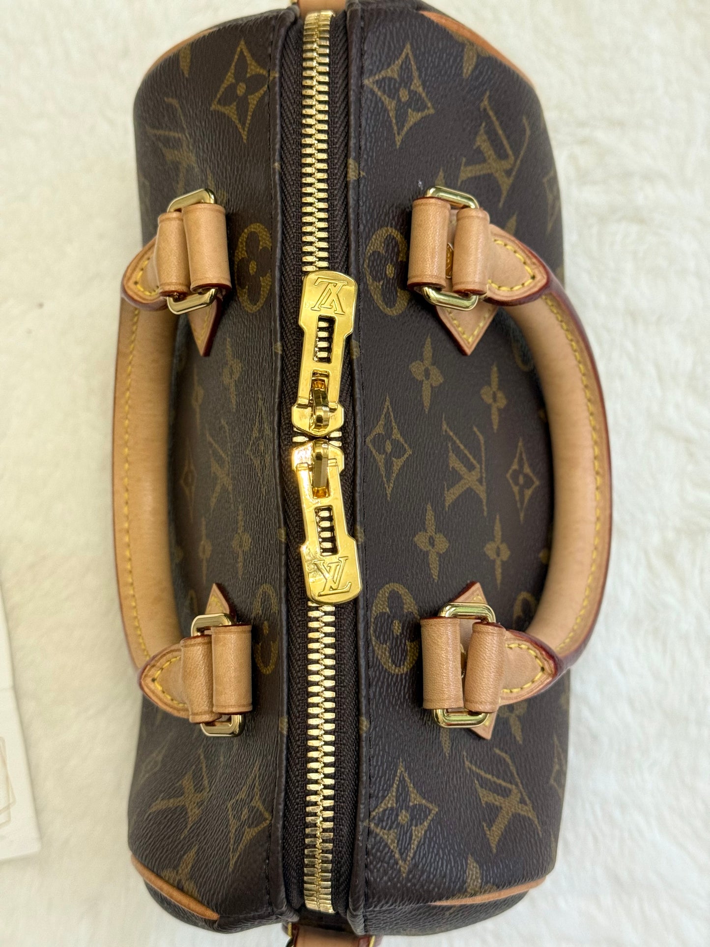 Louis Vuitton Speedy 20 Mono Bag Only