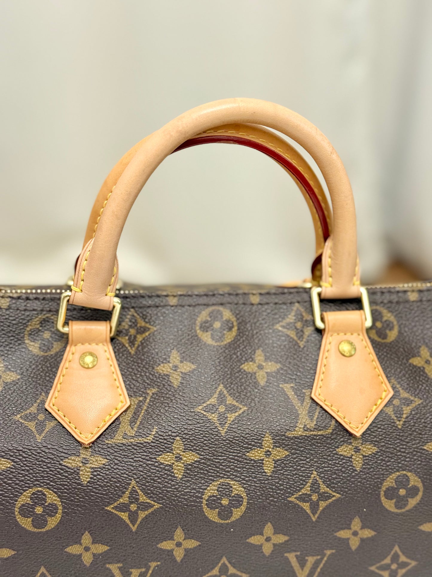 Louis Vuitton Speedy 30 Mono
