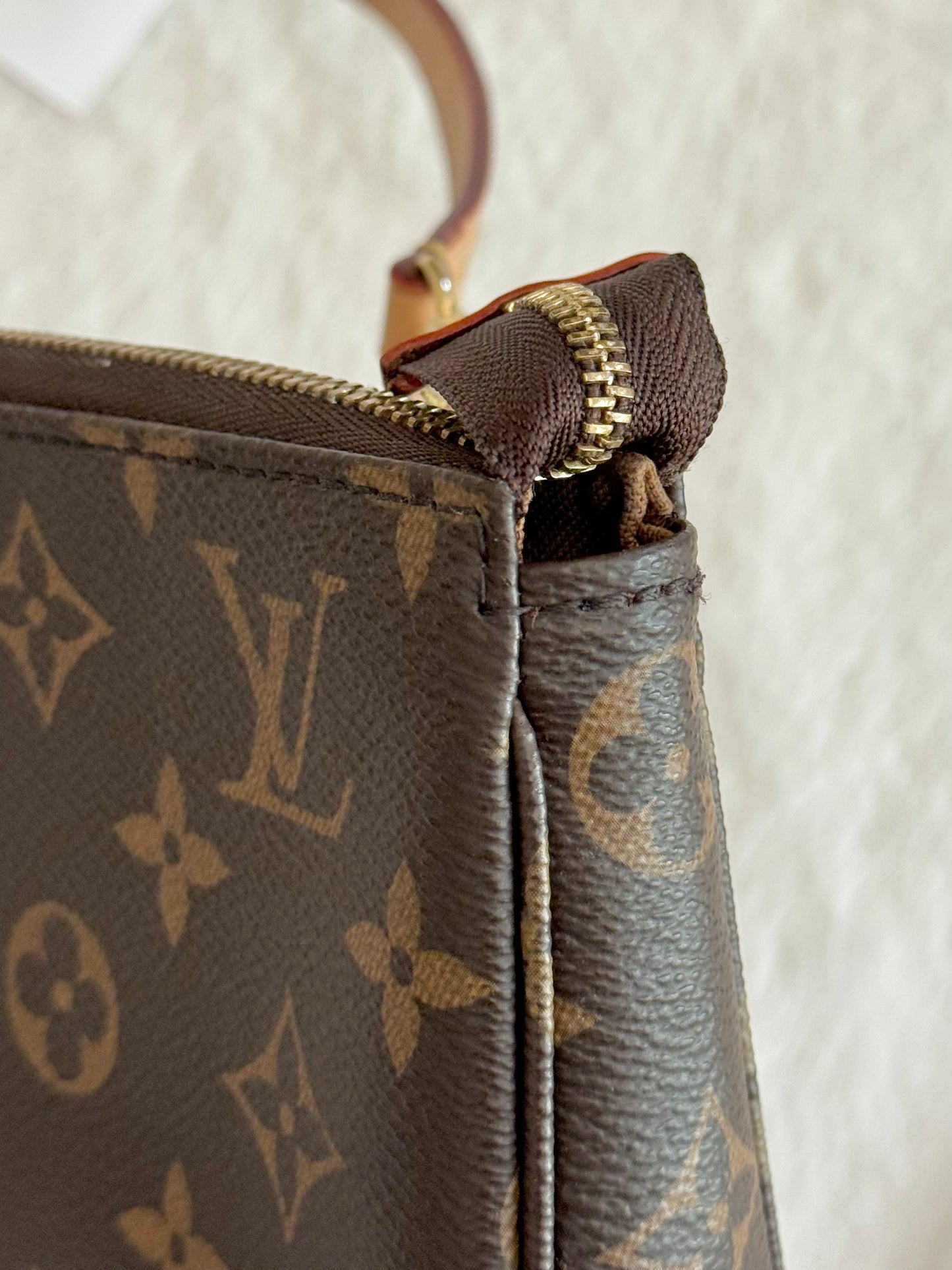 Louis Vuitton Pochette Accessoires New Model Mono