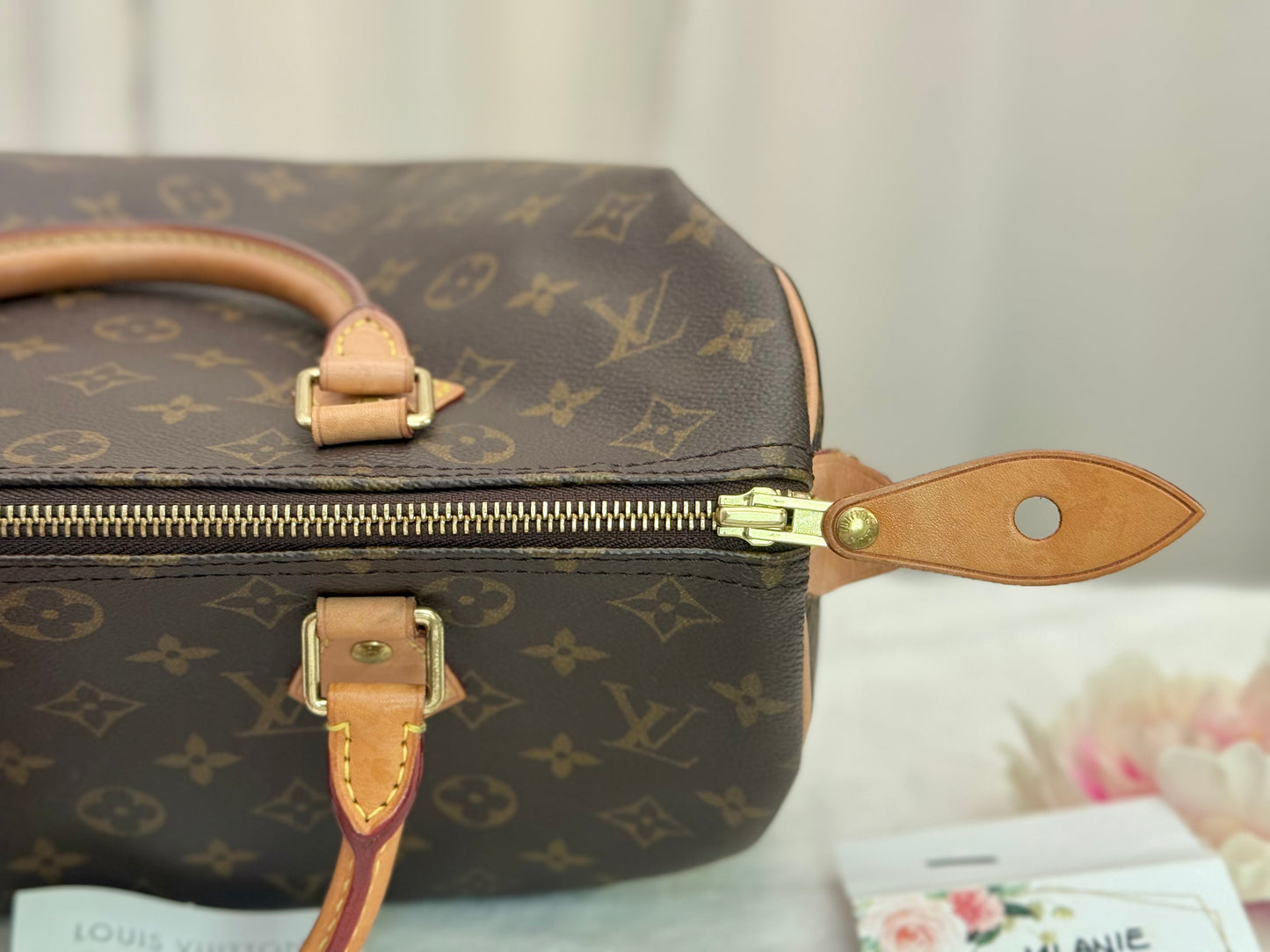 Louis Vuitton Speedy 30 Mono