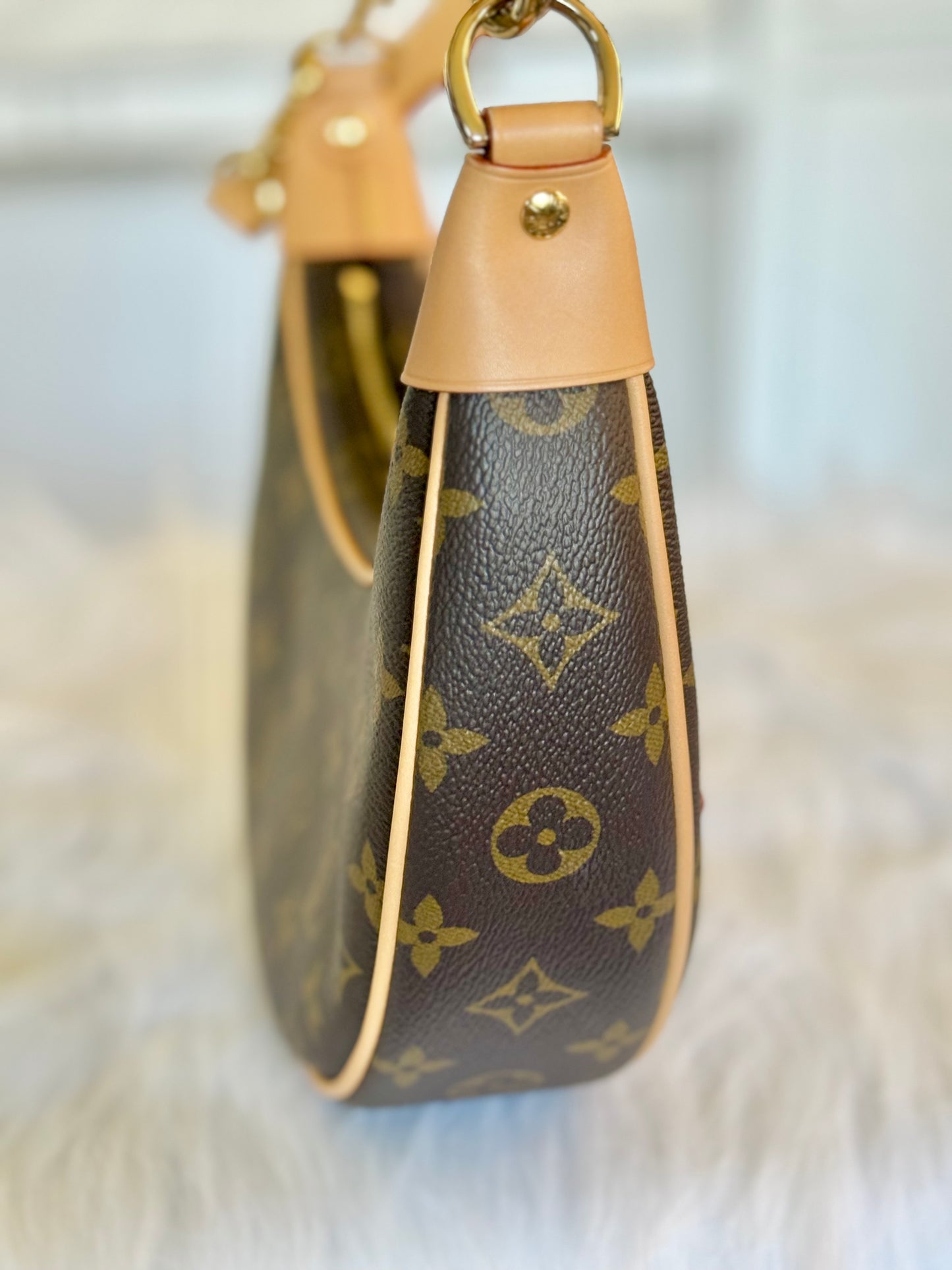 Louis Vuitton Loop PM Mono