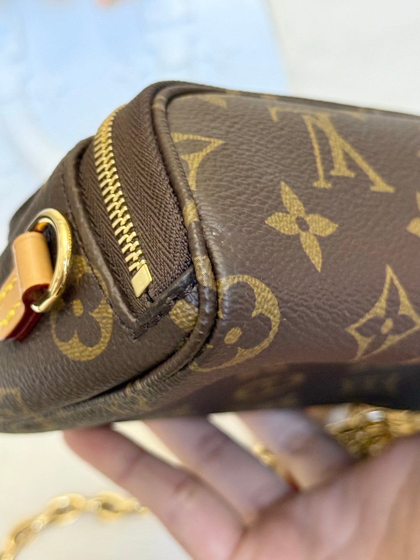 Louis Vuitton Mini Bumbag Mono