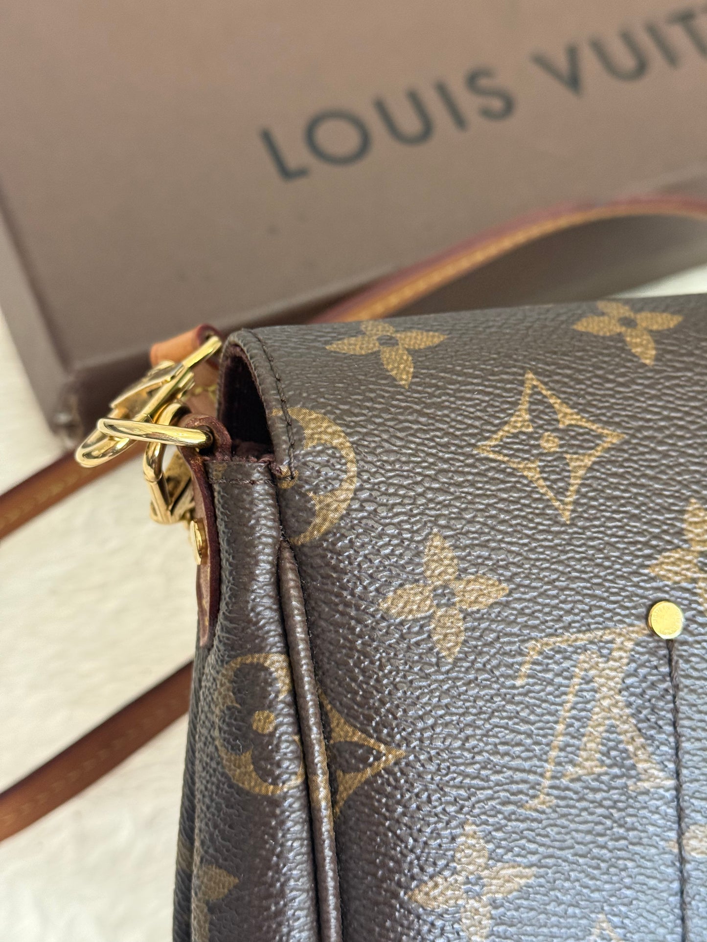 Louis Vuitton Favorite MM Mono