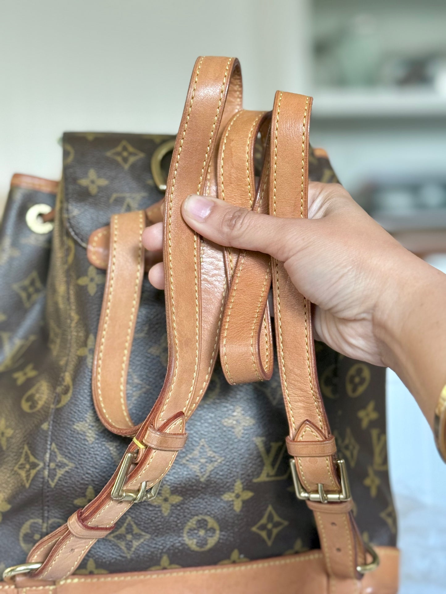 Louis Vuitton Montsouris PM Mono Old Model