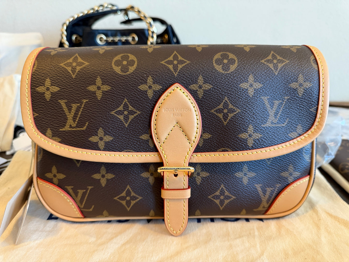 Louis Vuitton Diane Mono